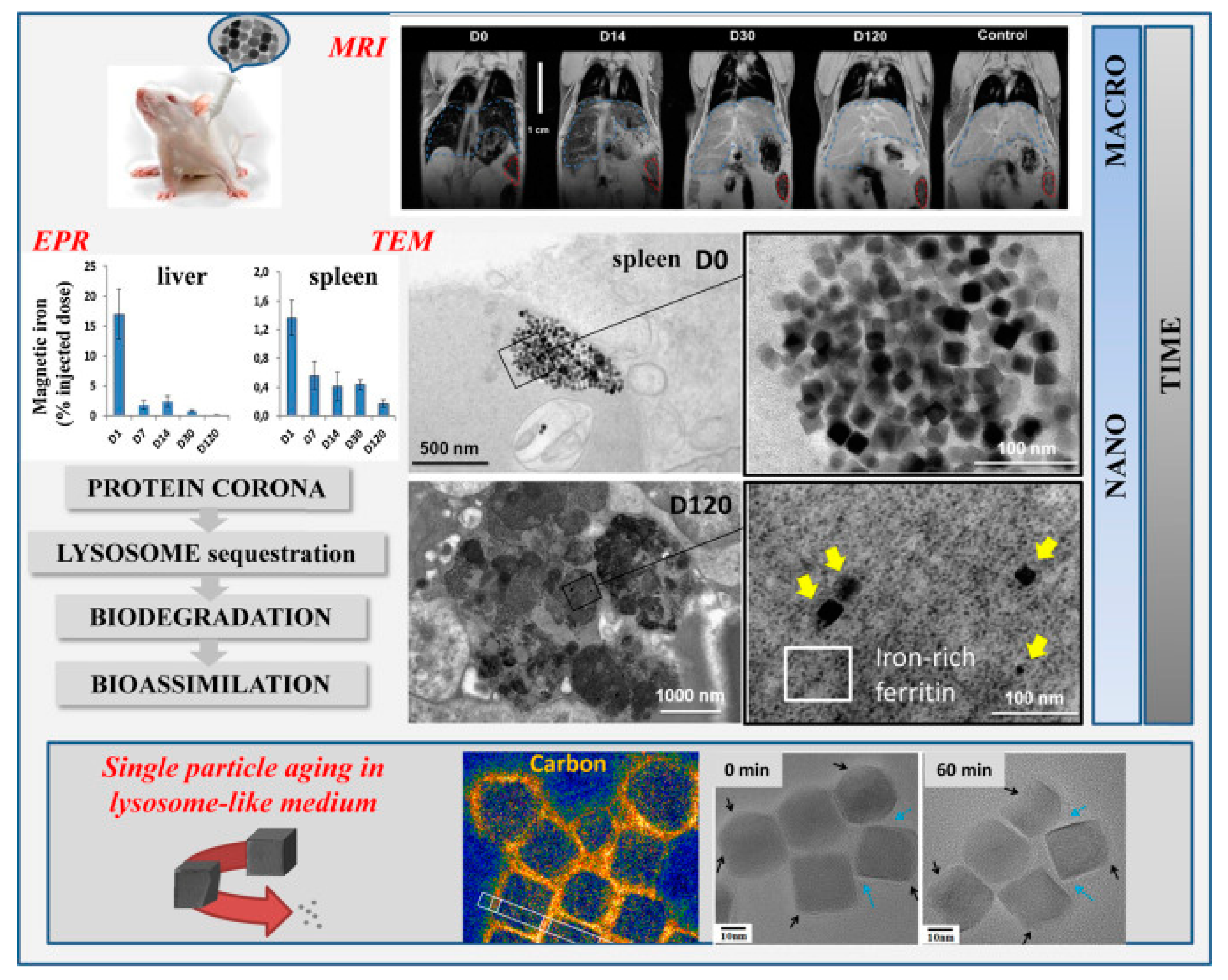 Materials 14 00706 g002