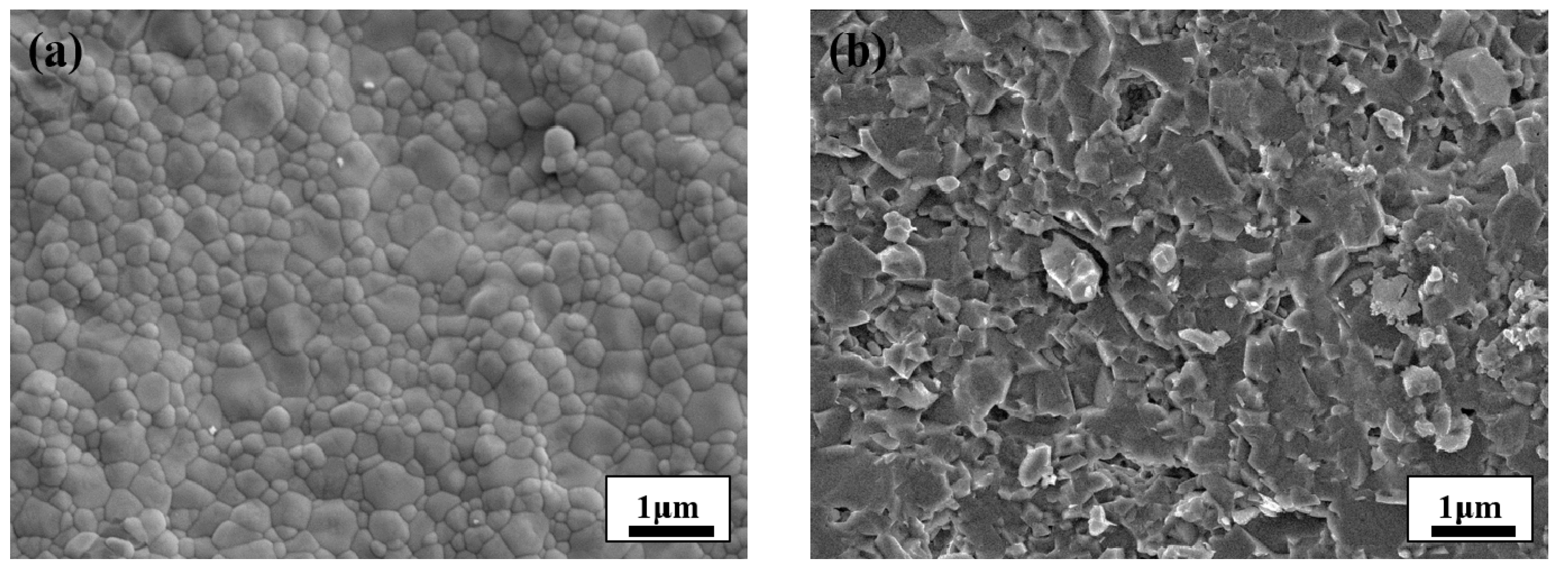 Materials 14 00721 g001