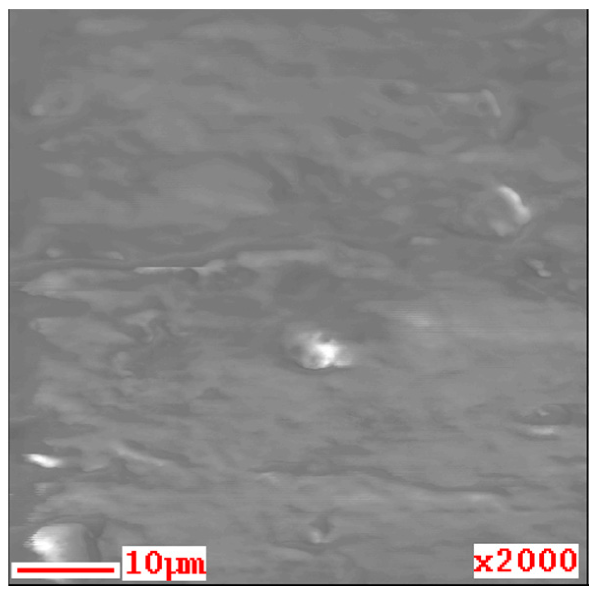 Materials 14 00724 g006