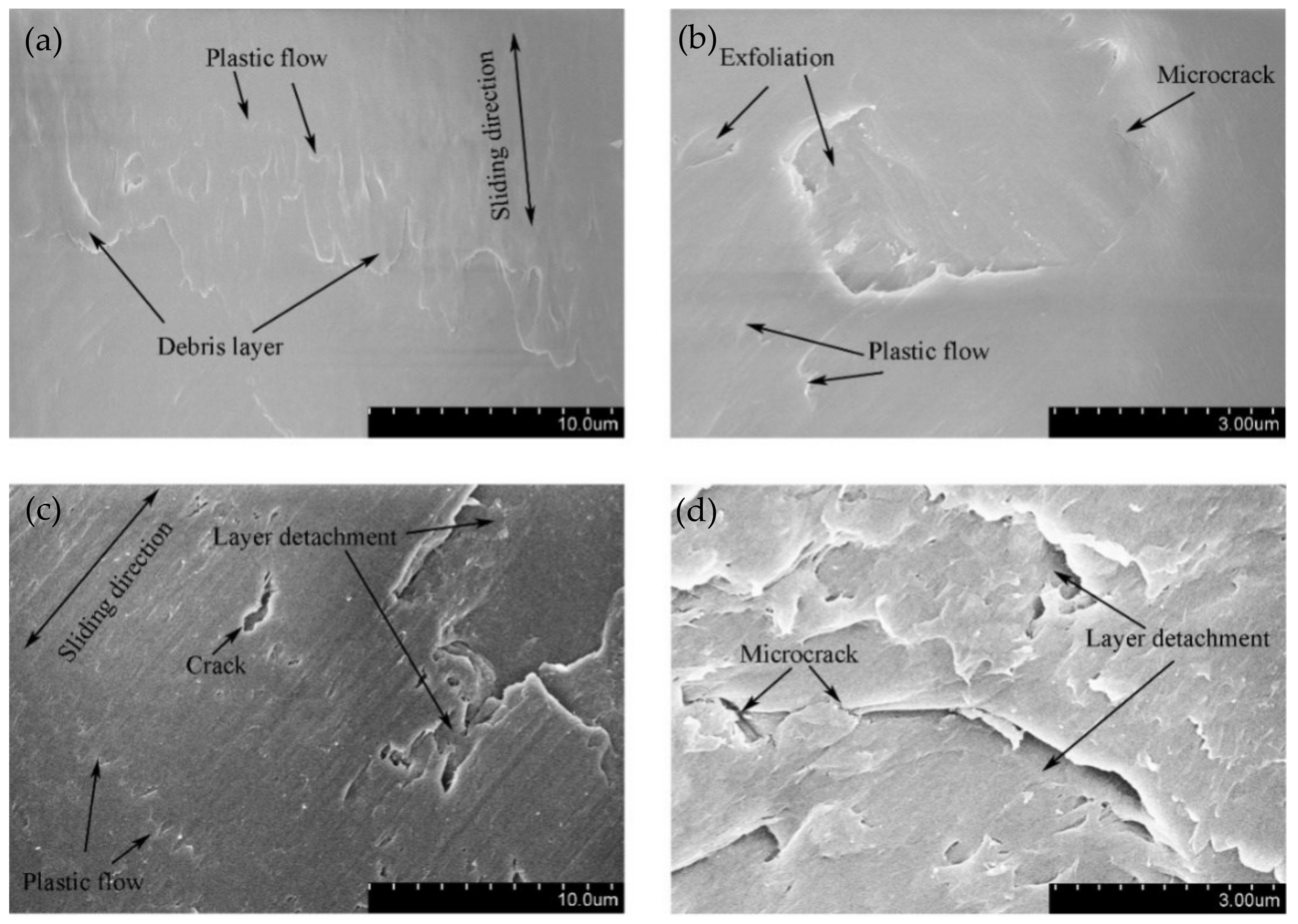 Materials 14 00734 g012