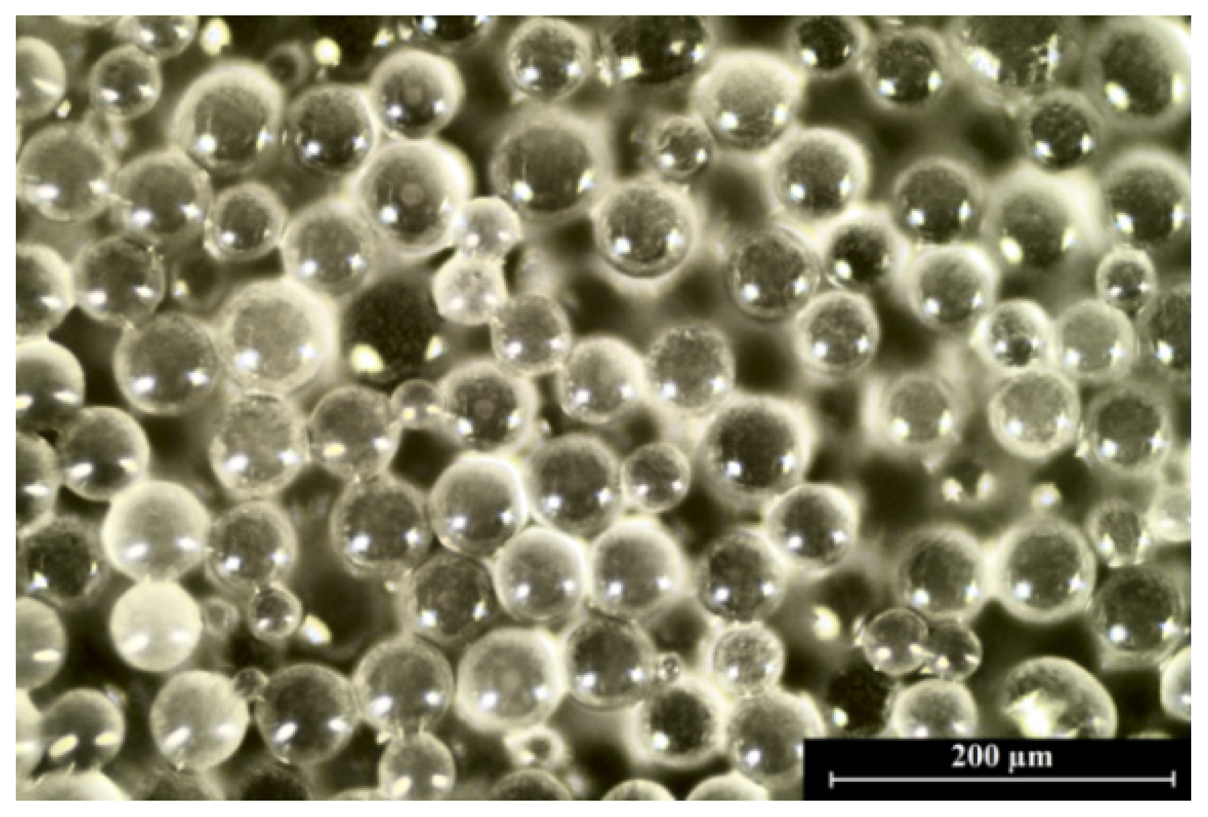 Materials 14 00745 g005