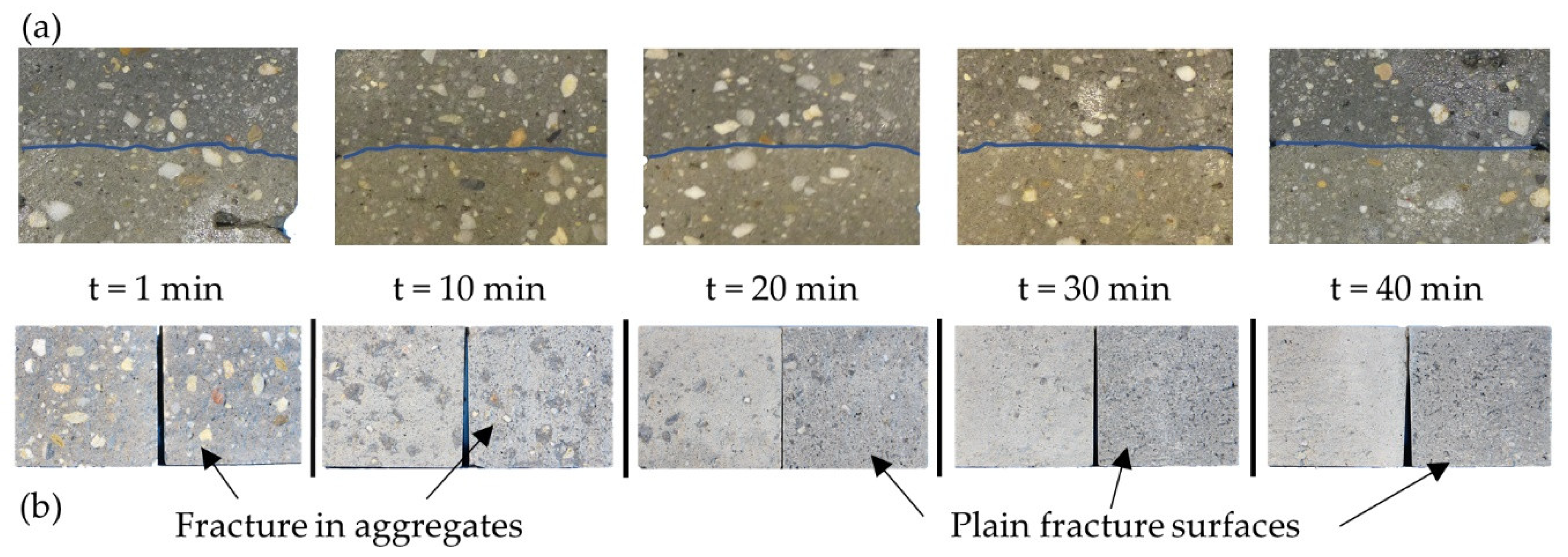 Materials 14 00752 g009