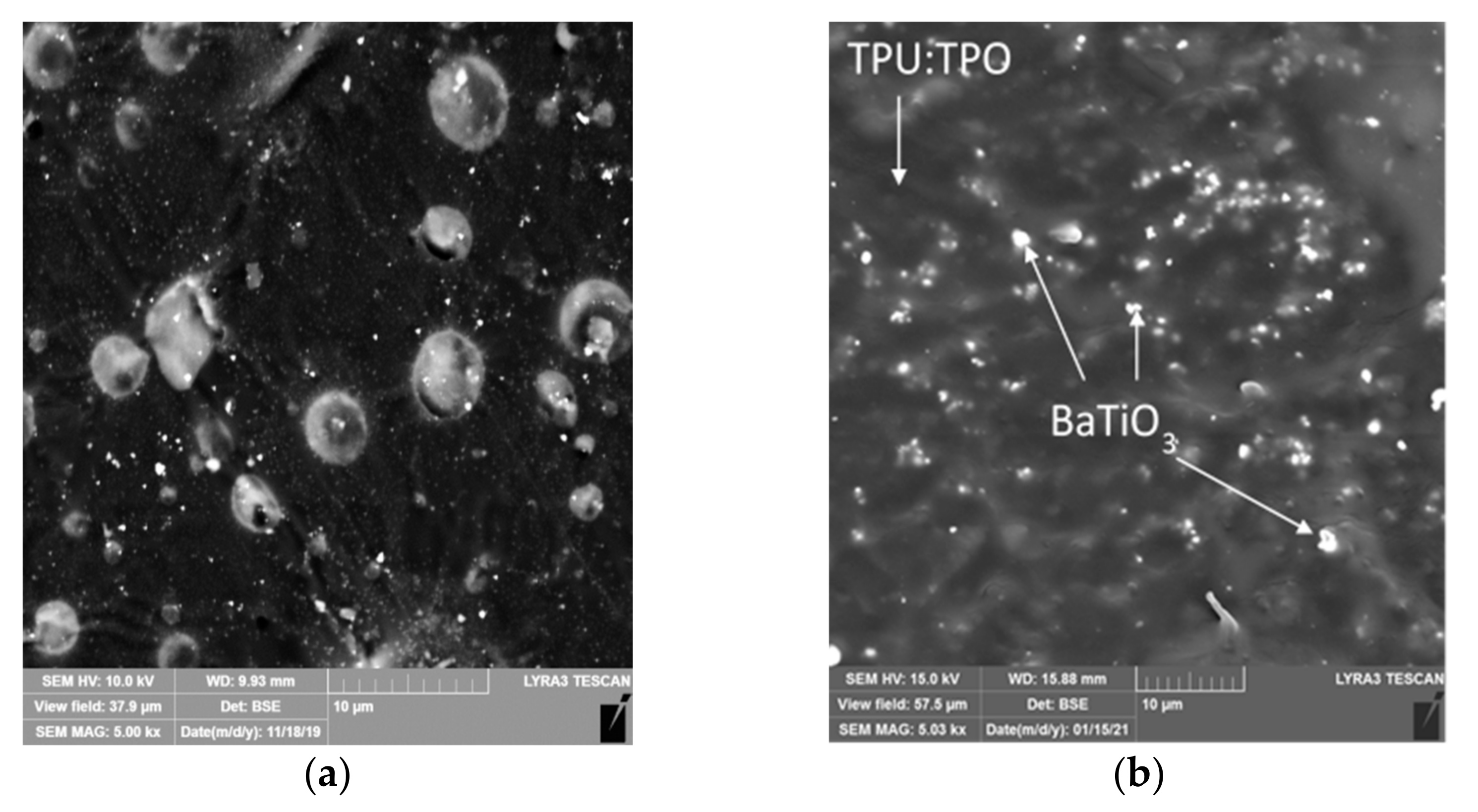 Materials 14 00753 g001a