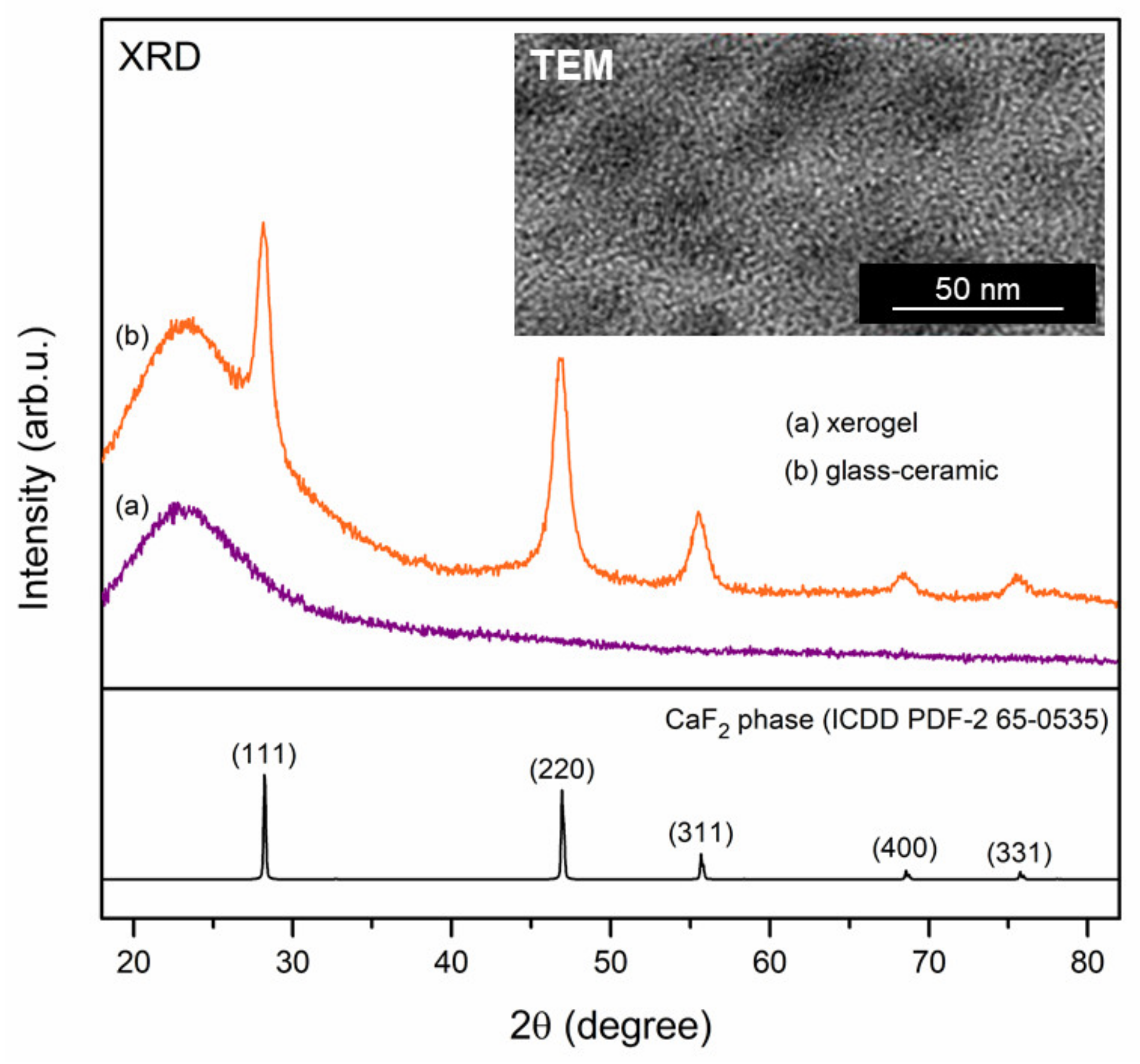 Materials 14 00754 g001