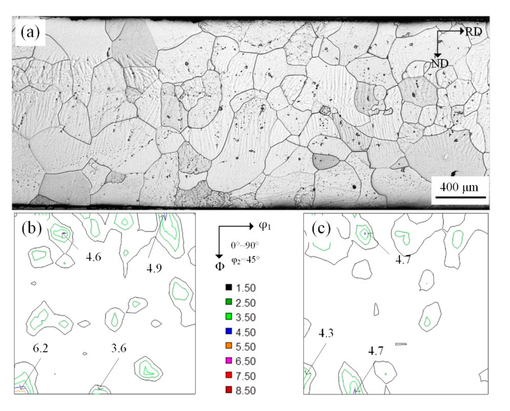Materials 14 00775 g002