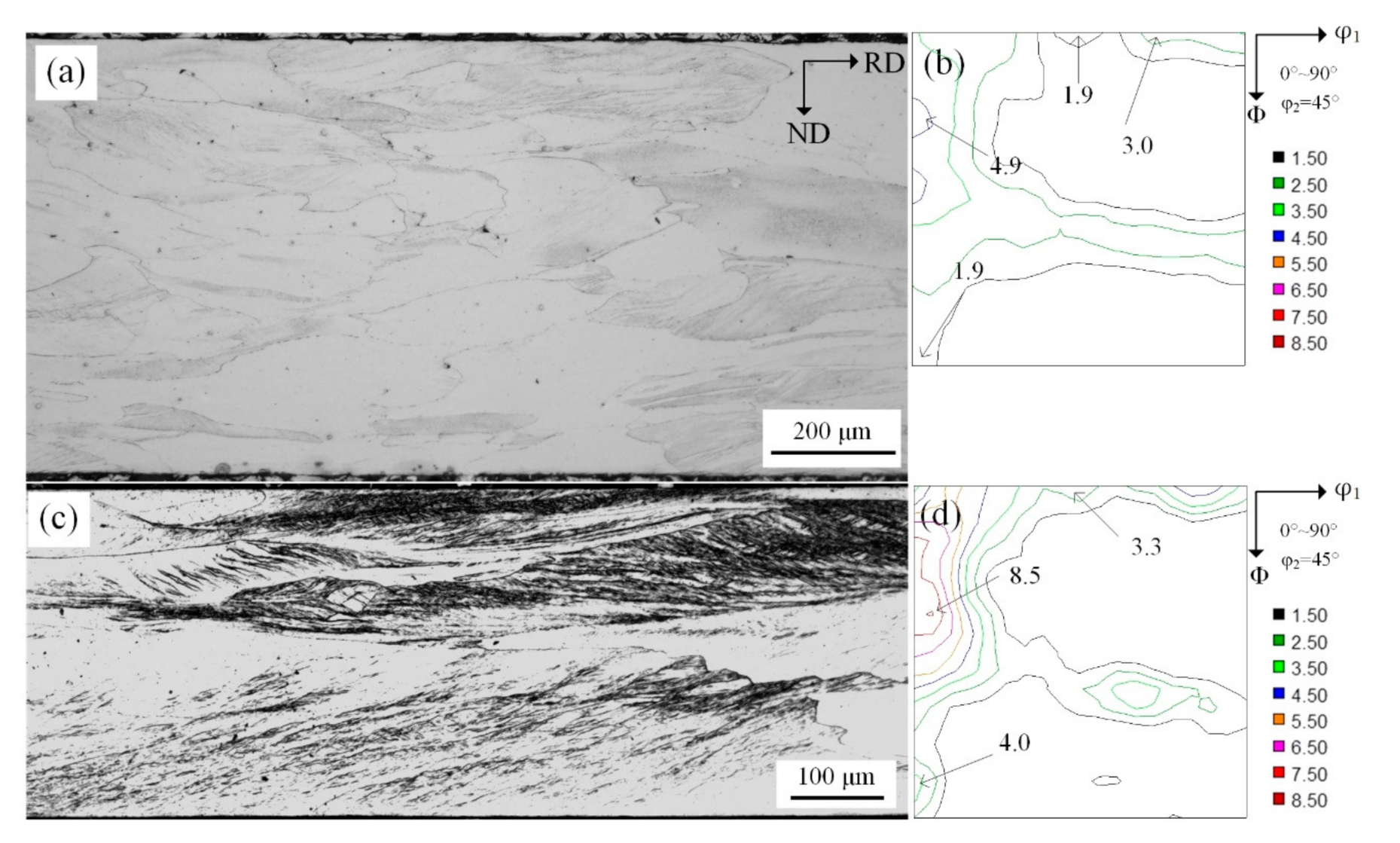 Materials 14 00775 g003
