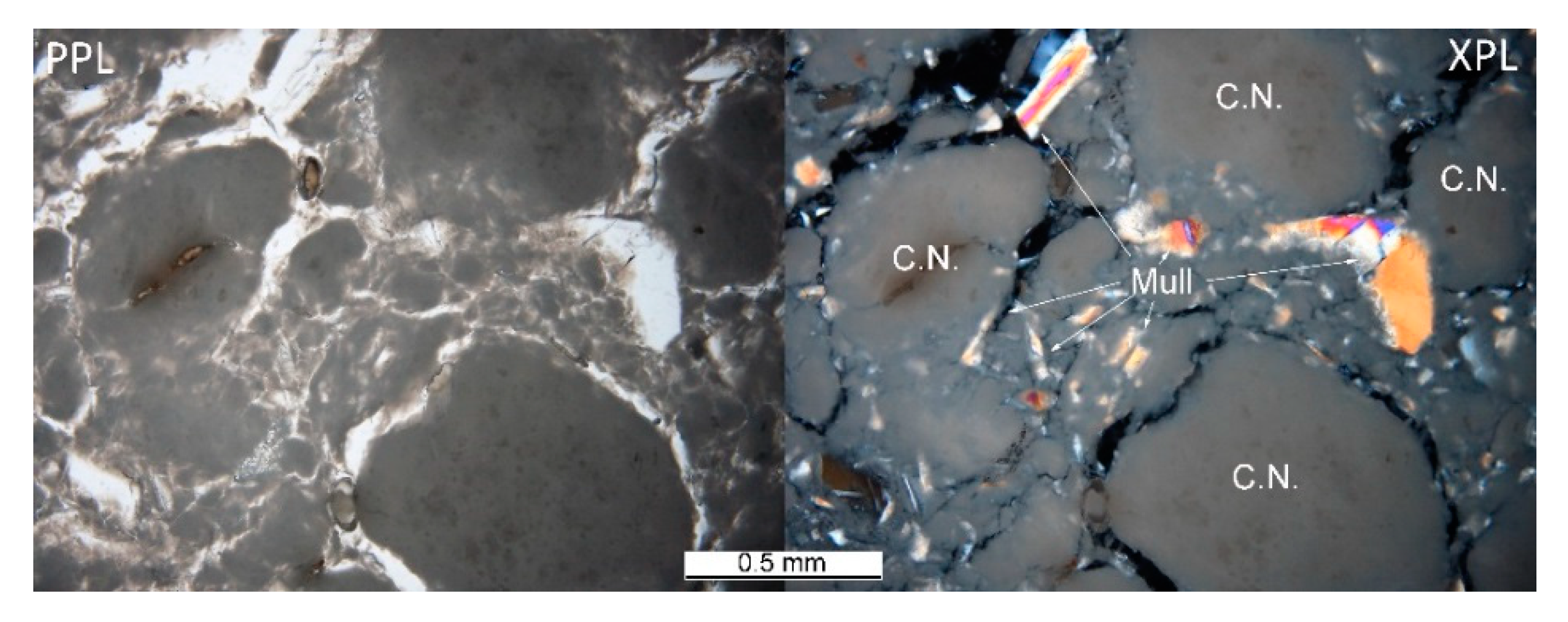 Materials 14 00779 g003 Materials 14 00779 g003