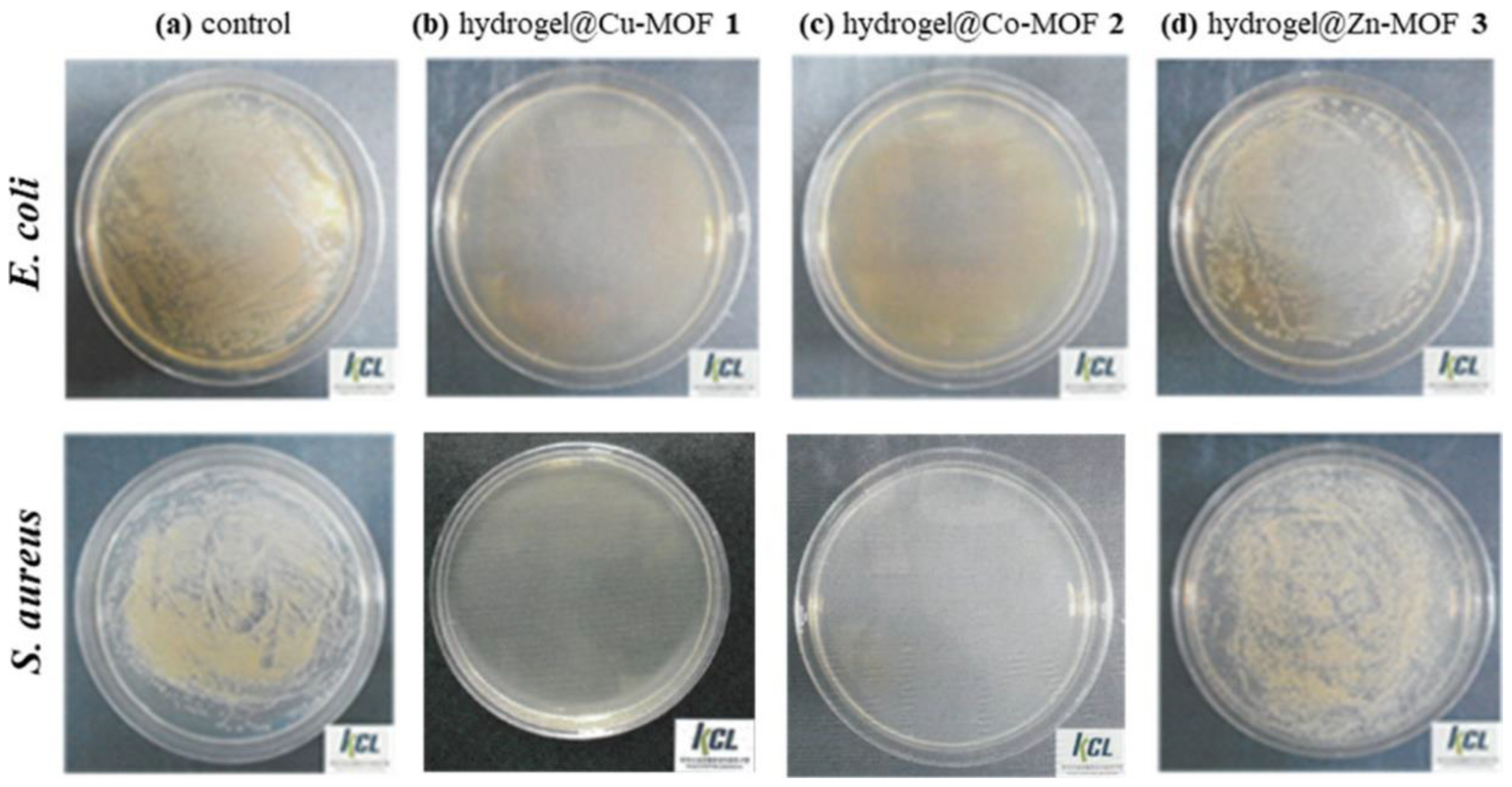 Materials 14 00787 g008