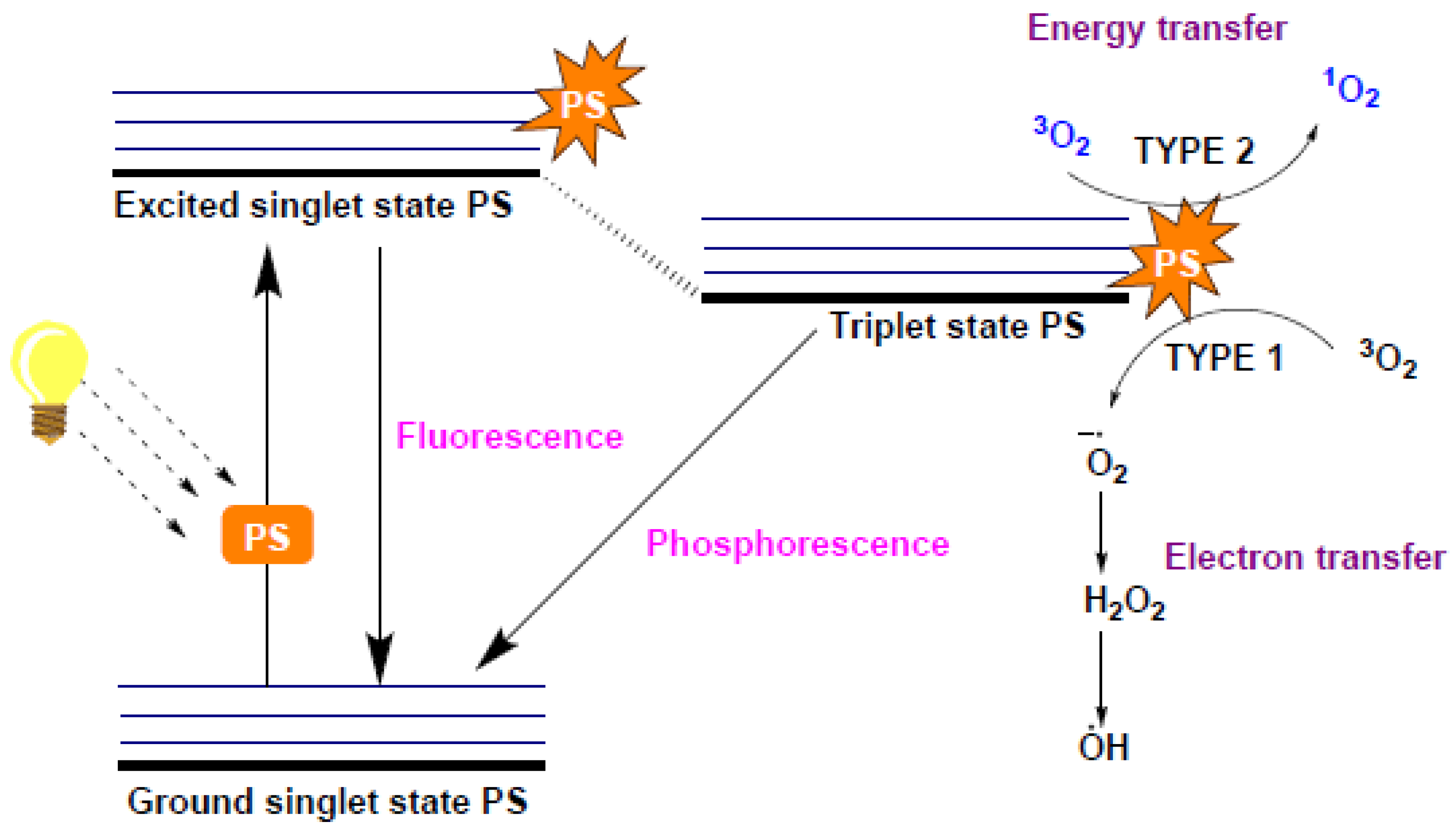 Materials 14 00787 g015