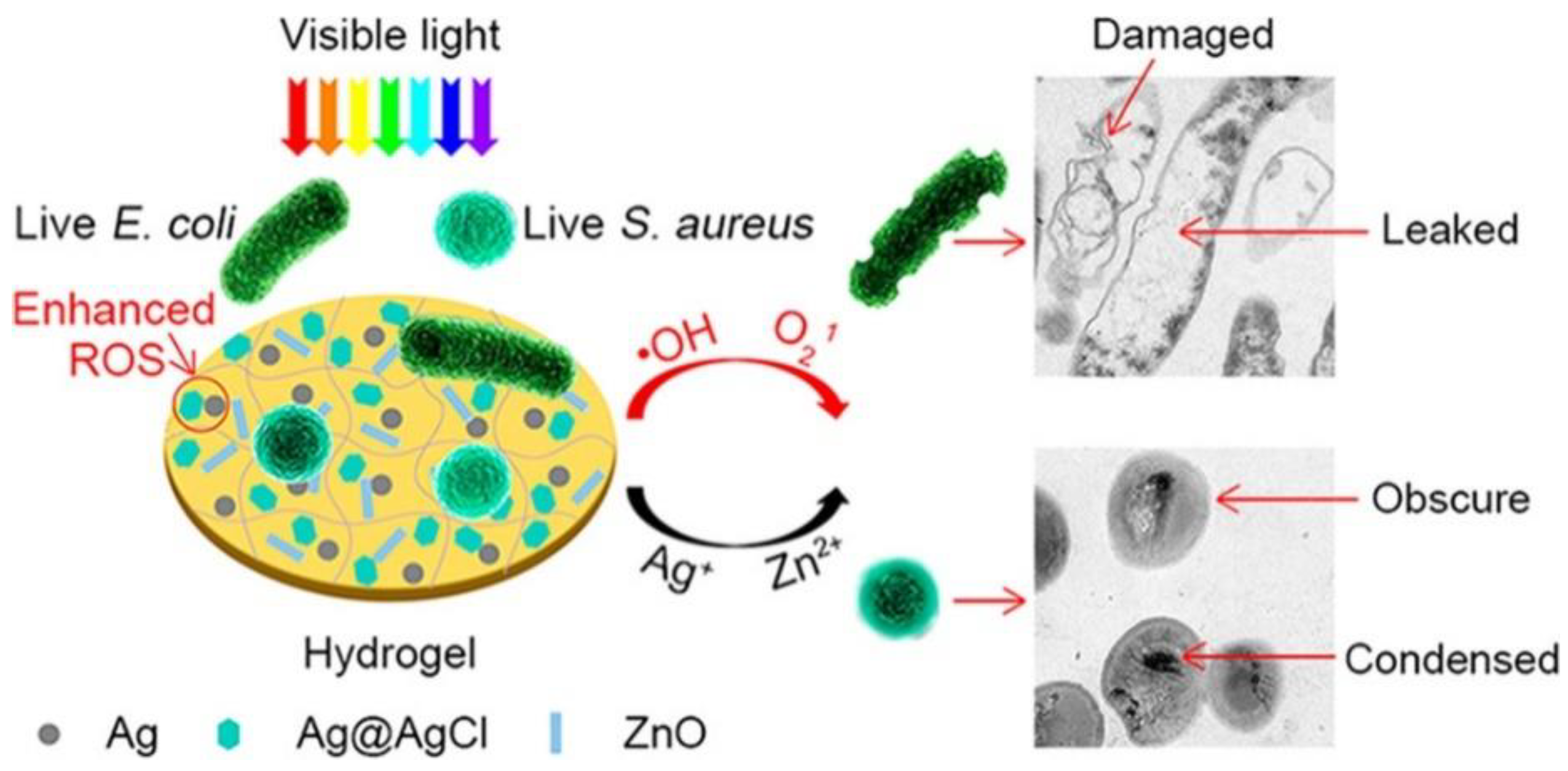 Materials 14 00787 g016