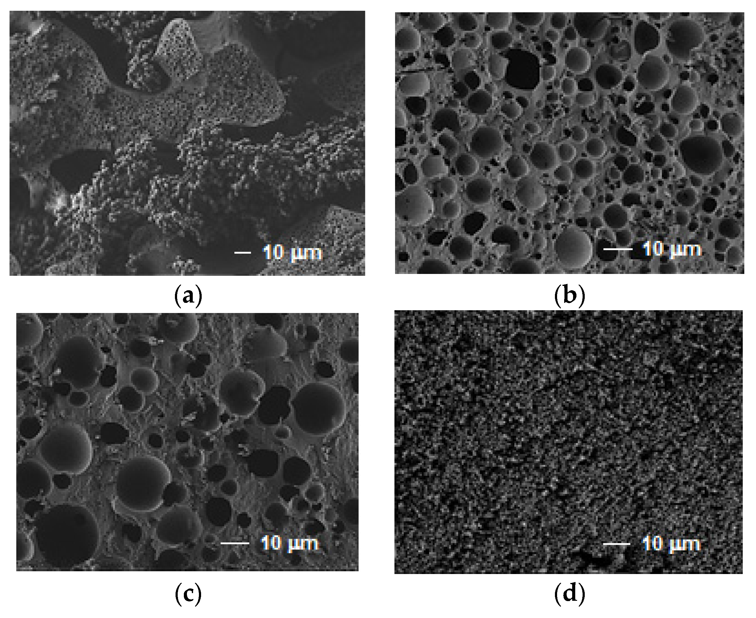 Materials 14 00800 g003
