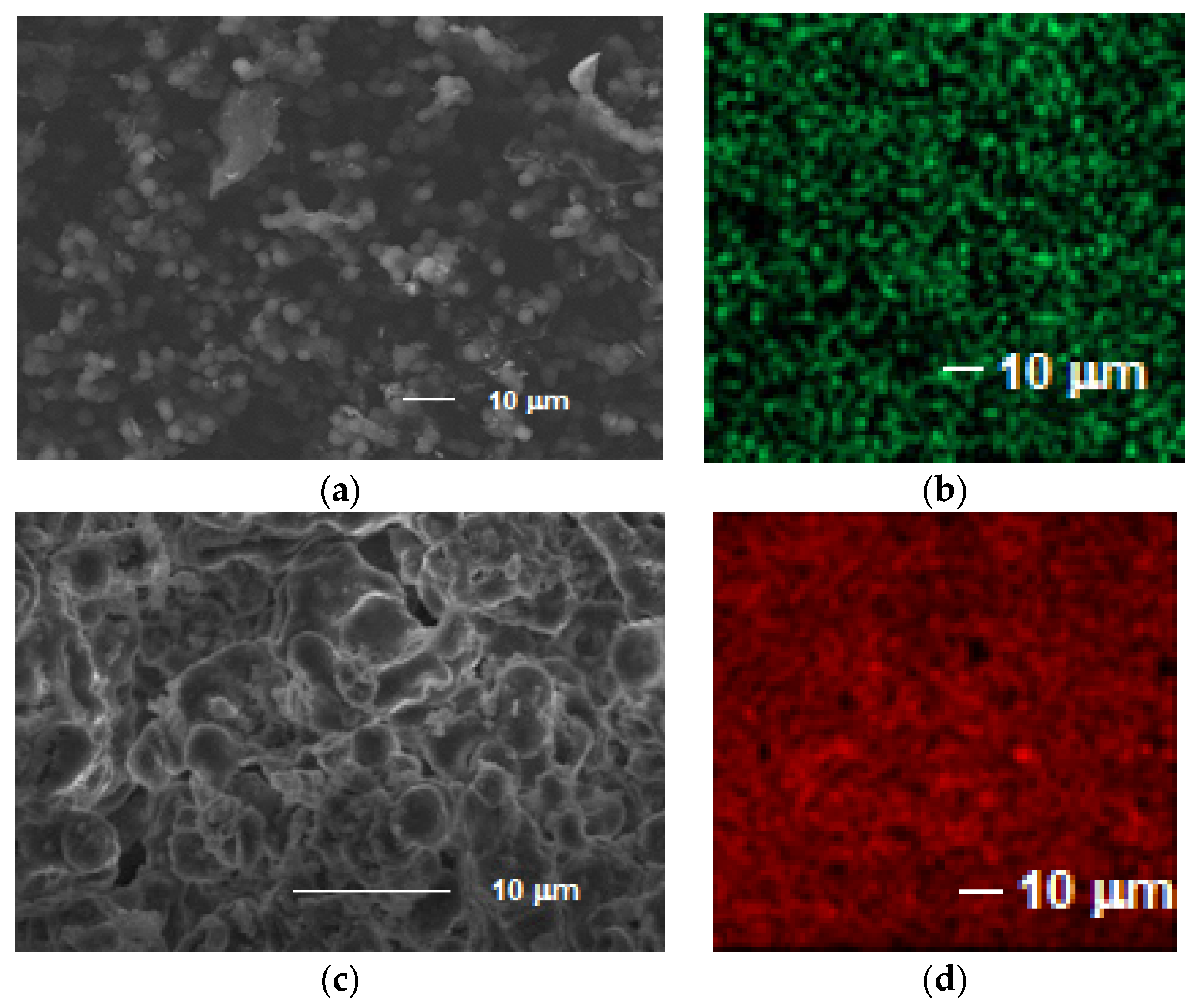 Materials 14 00800 g007
