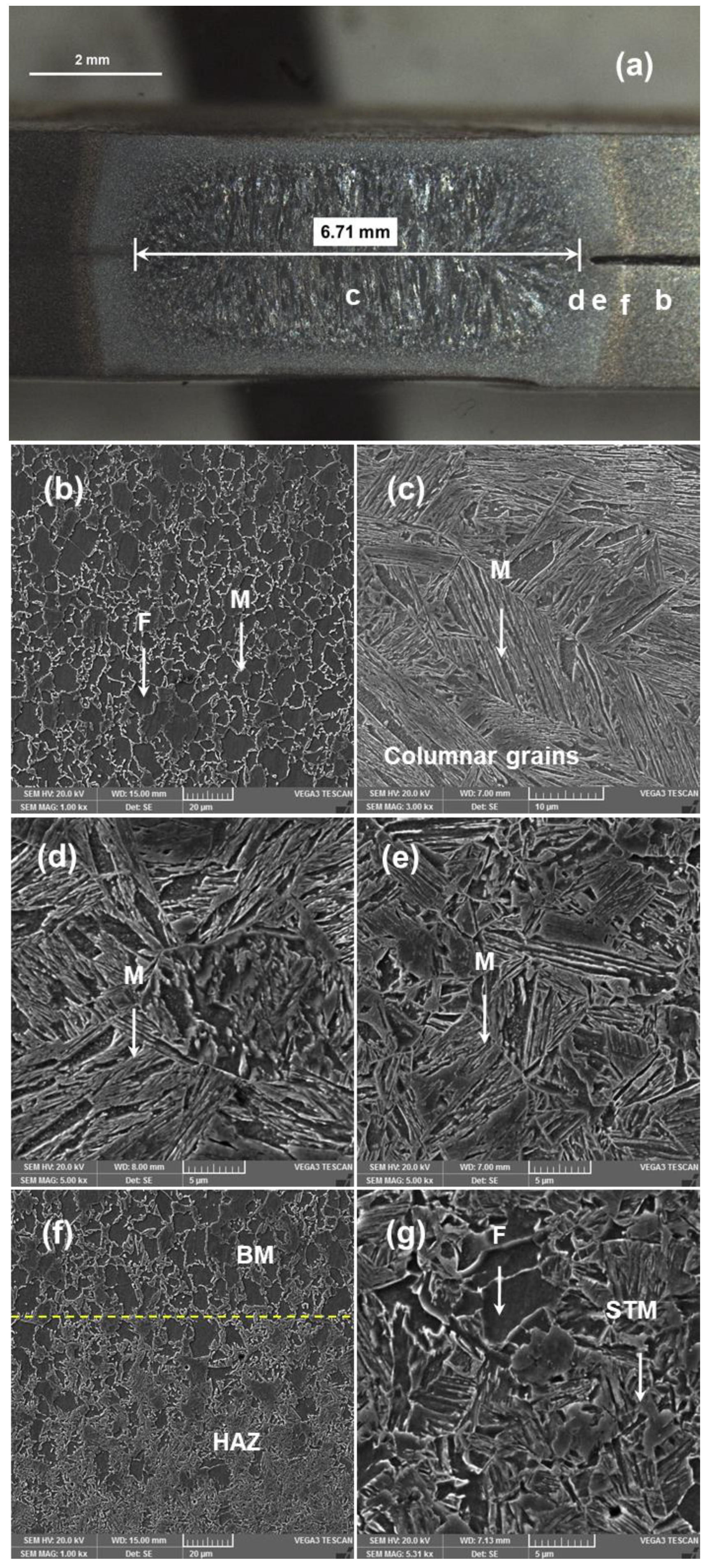 Materials 14 00802 g004