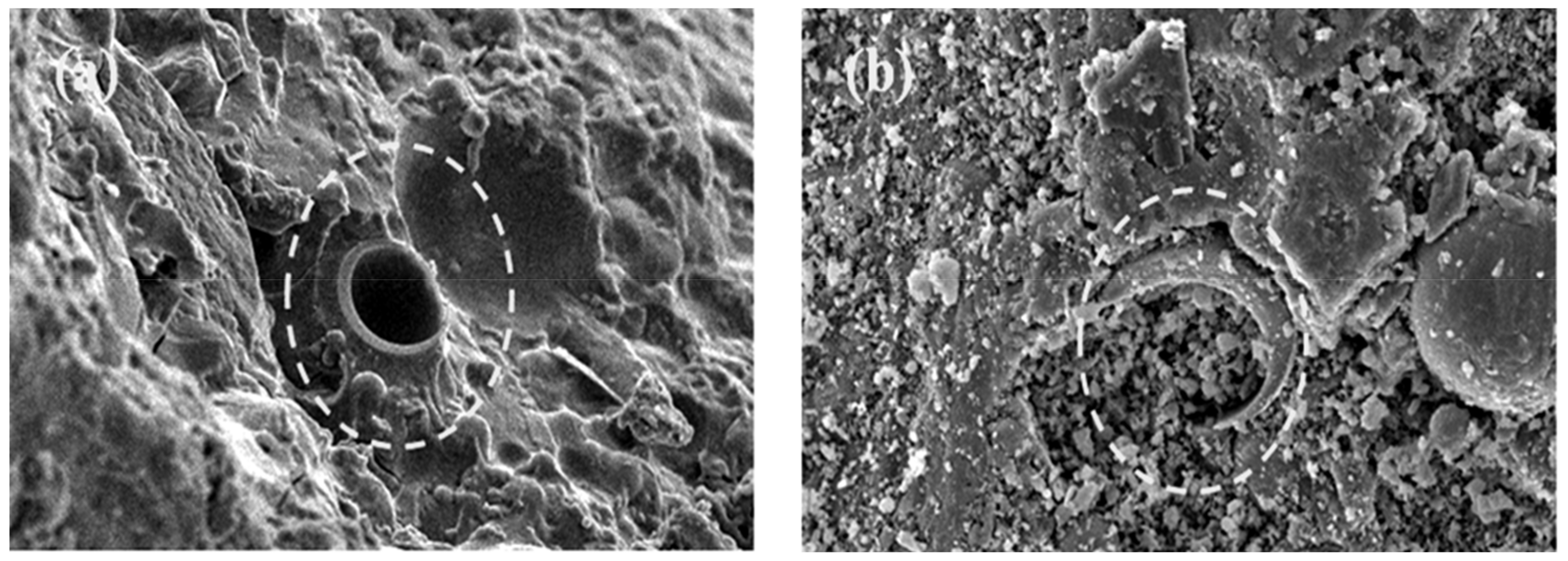 Materials 14 00809 g005