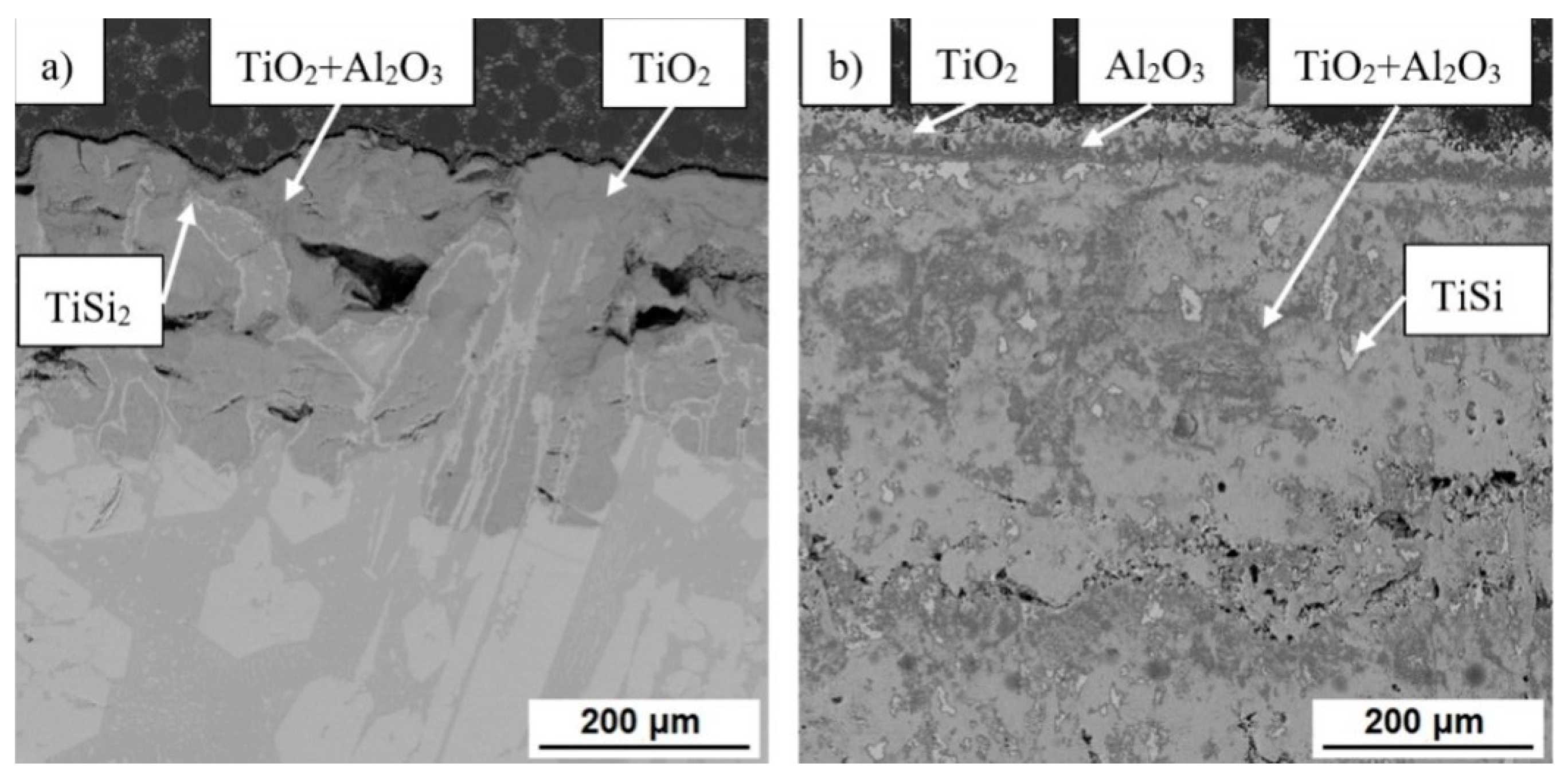 Materials 14 00813 g010