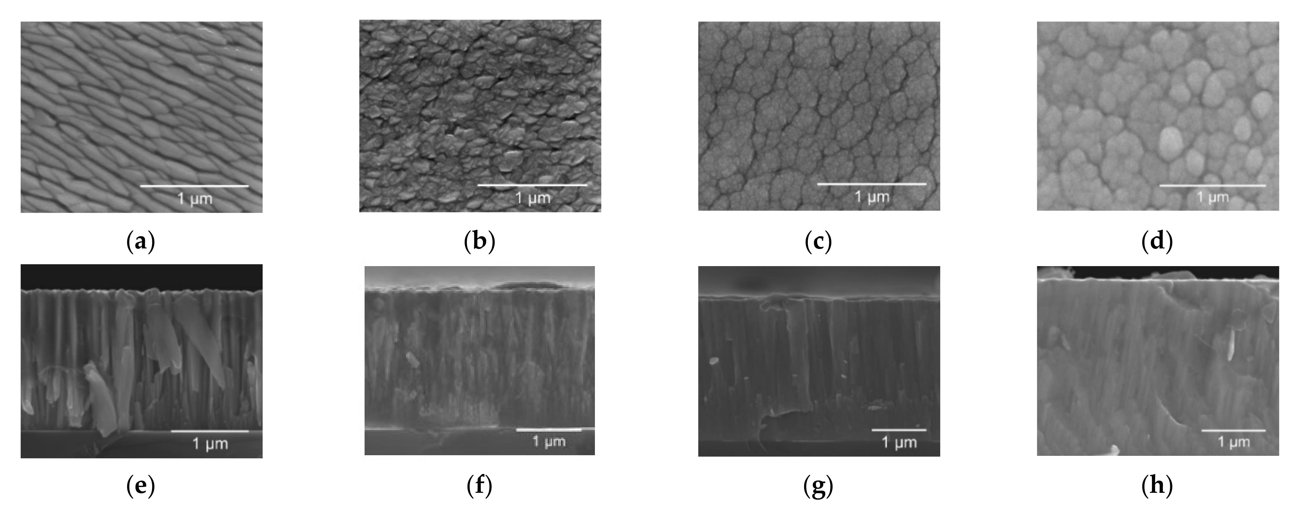 Materials 14 00821 g005