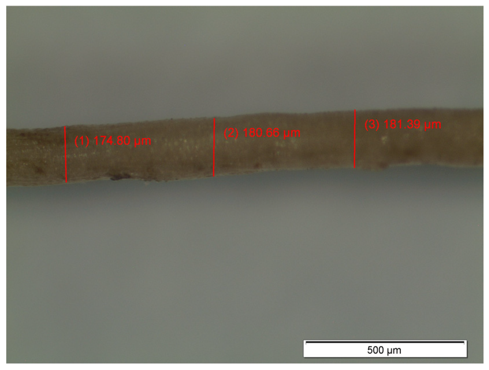 Materials 14 00823 g003