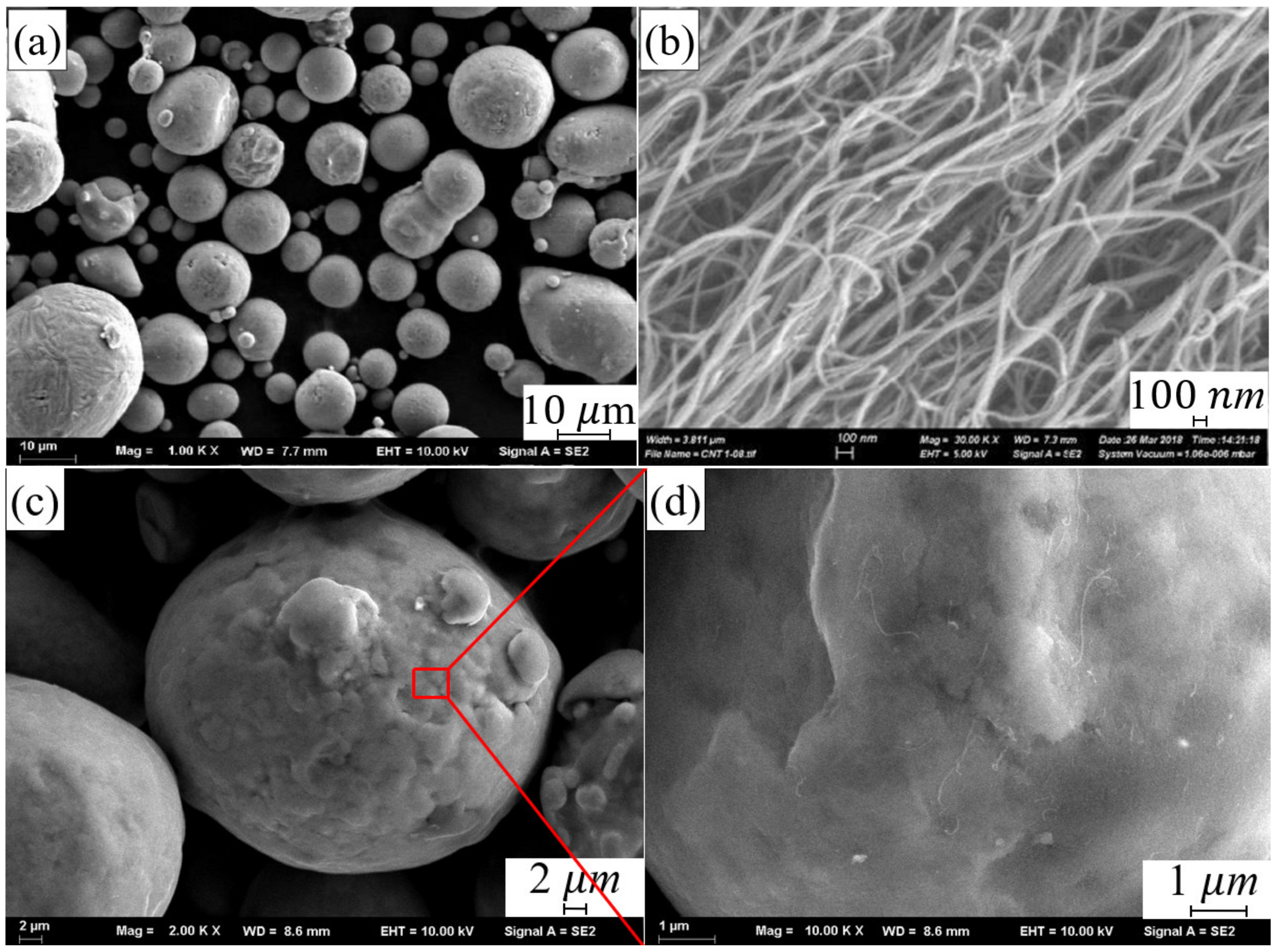 Materials 14 00838 g001