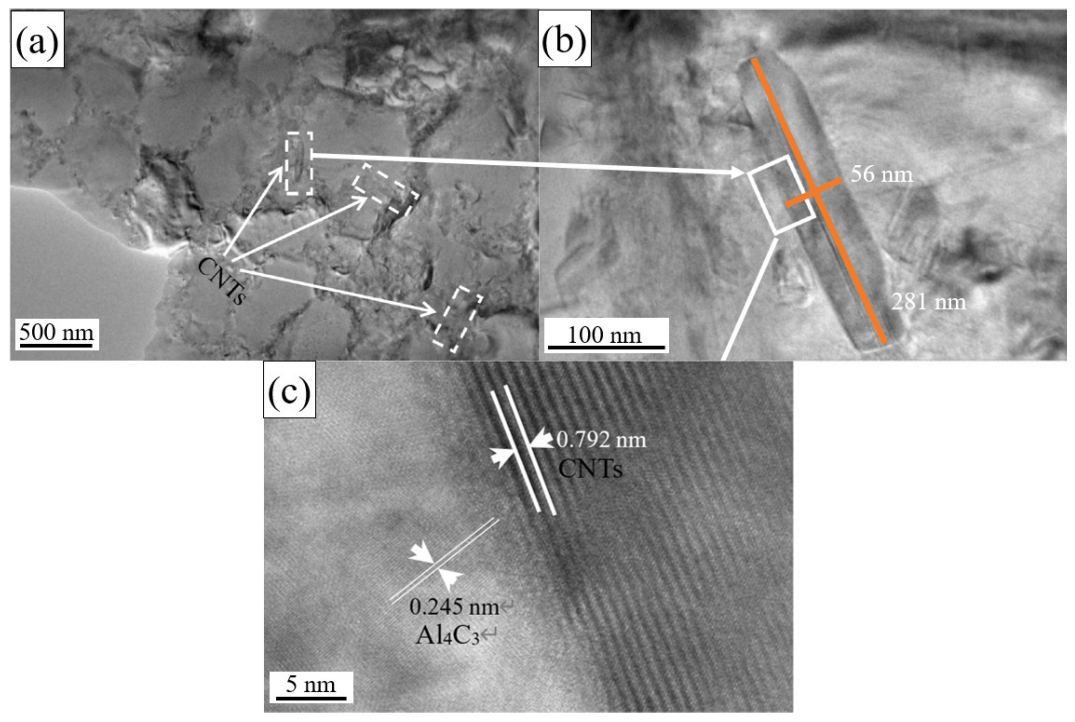Materials 14 00838 g005