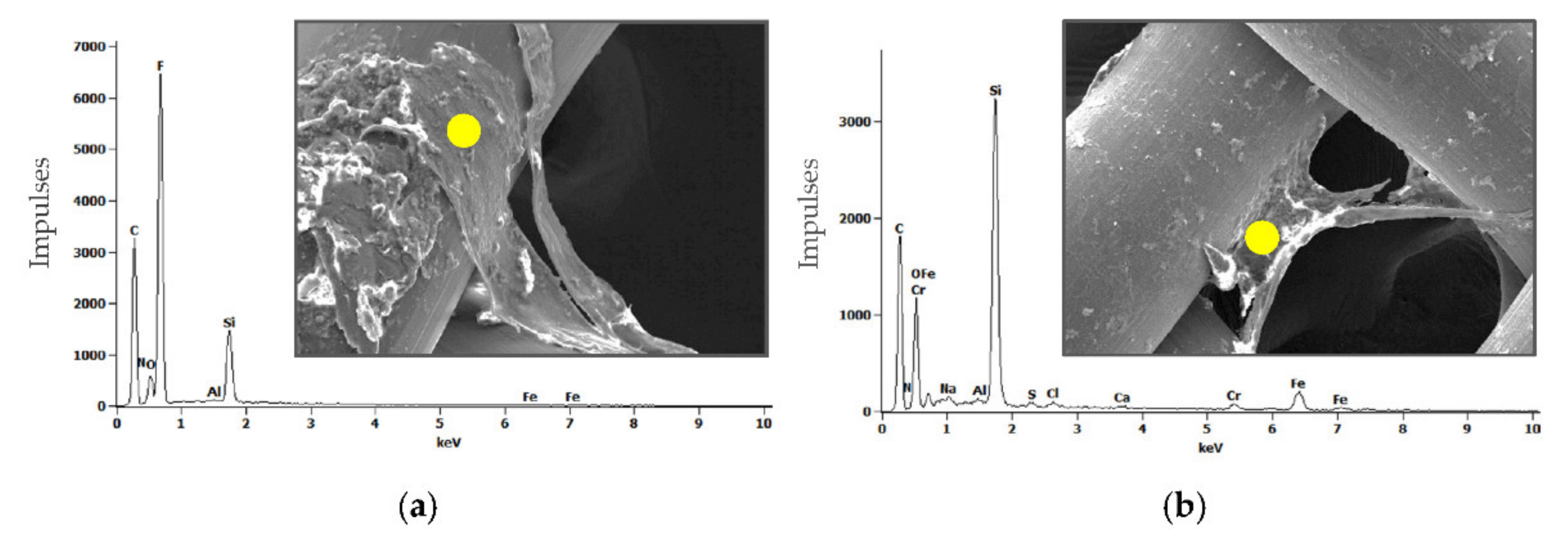 Materials 14 00839 g004
