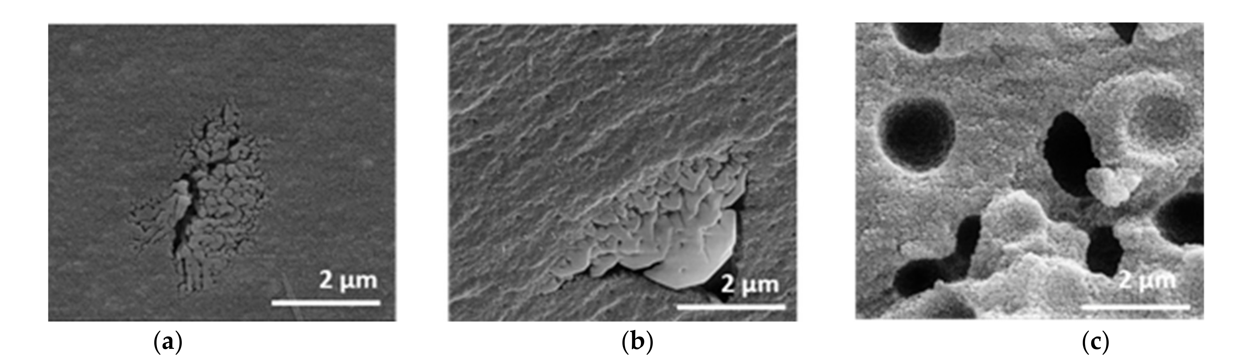 Materials 14 00854 g007