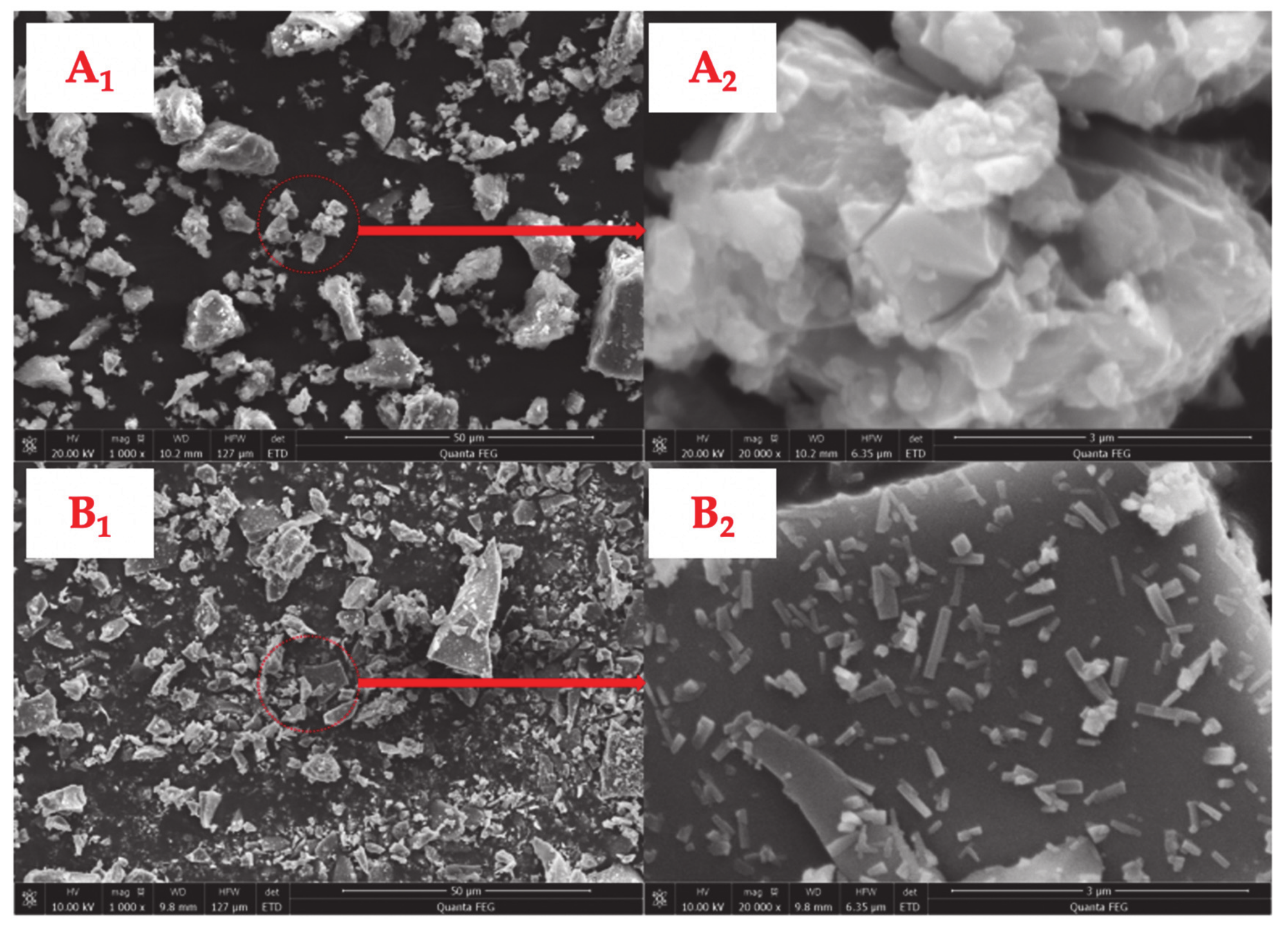 Materials 14 00869 g003