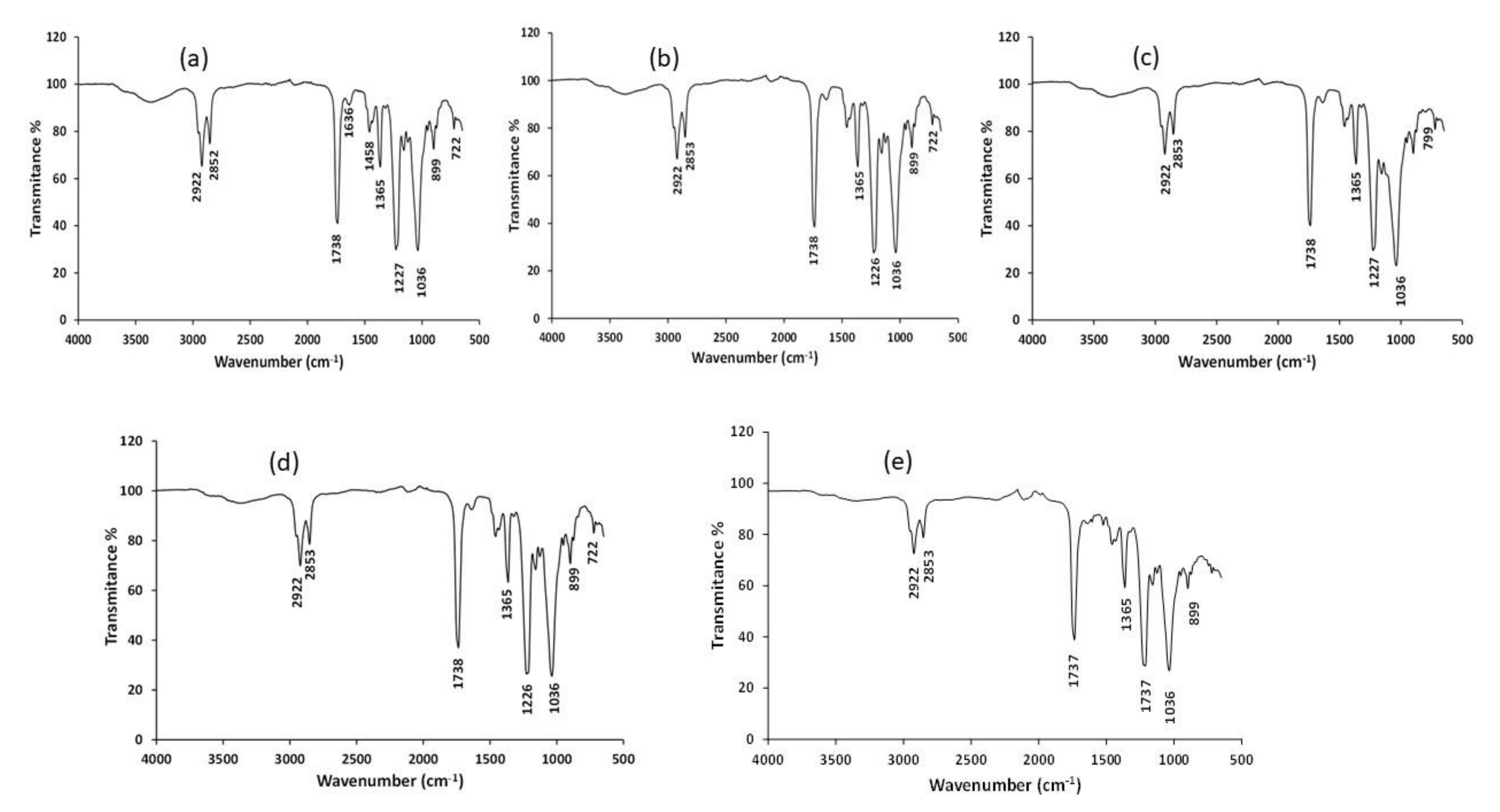 Materials 14 00878 g005