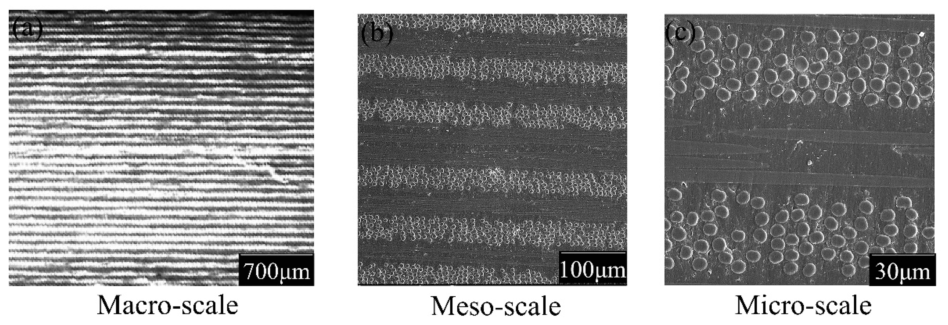Materials 14 00913 g004