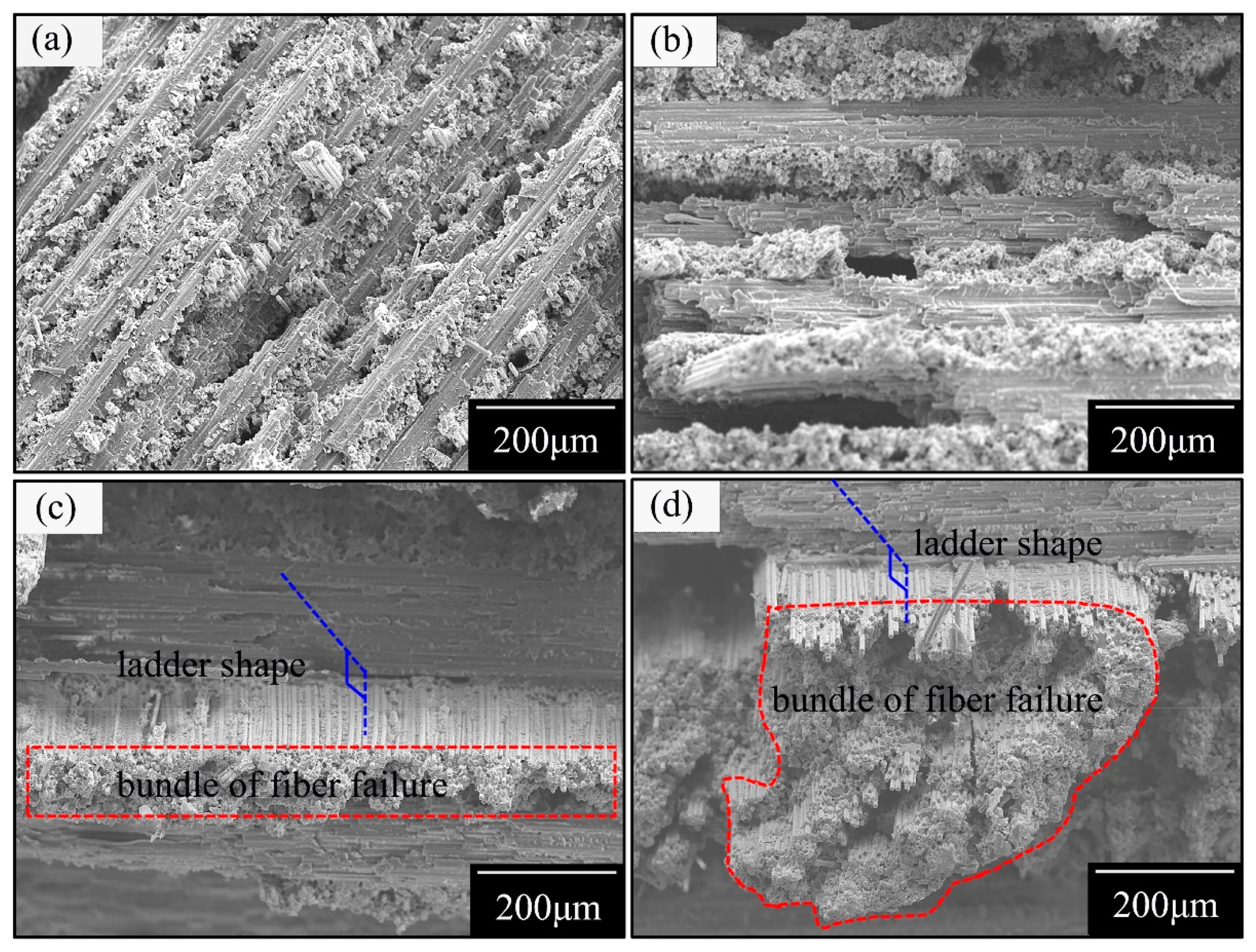 Materials 14 00913 g011