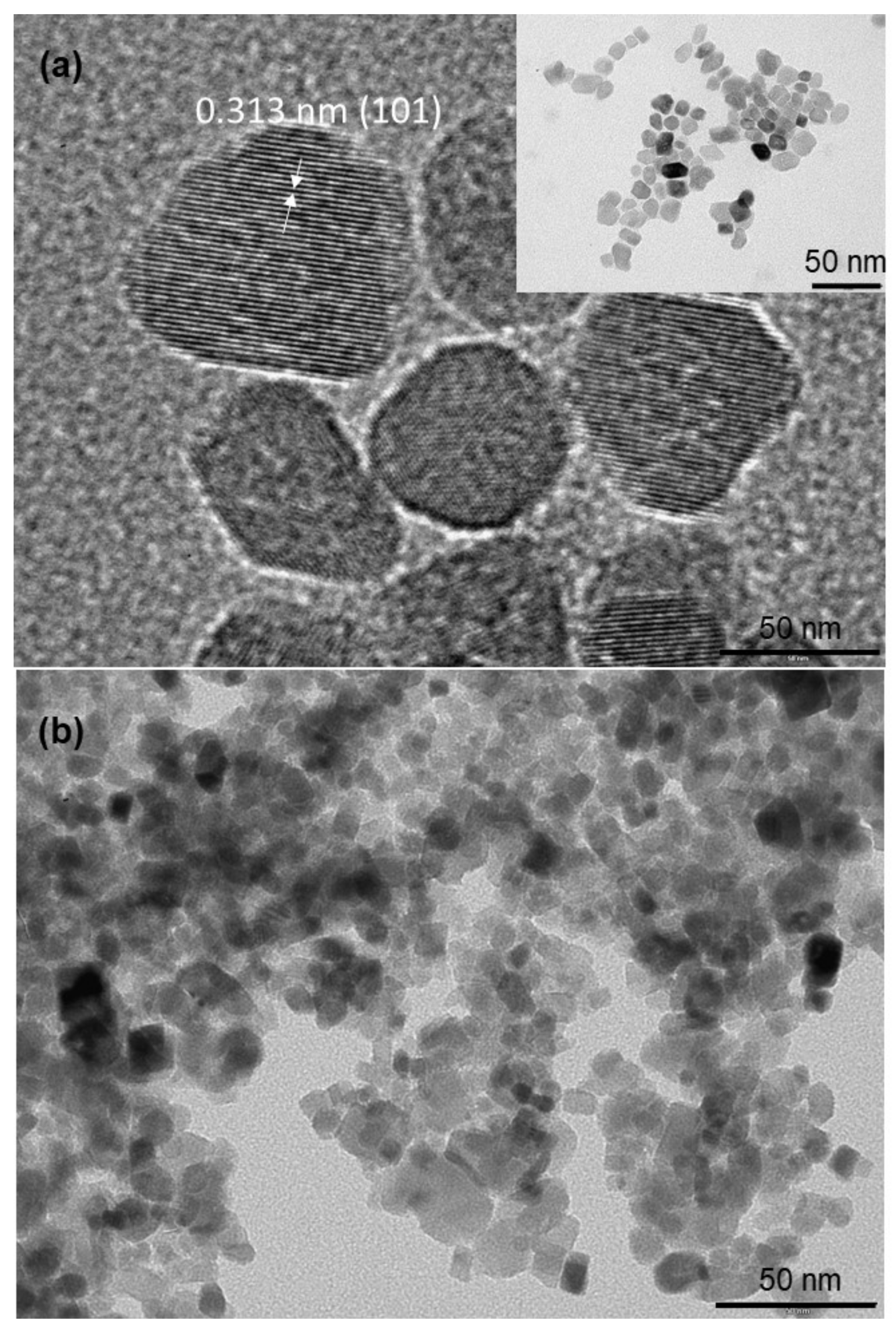 Materials 14 00916 g003
