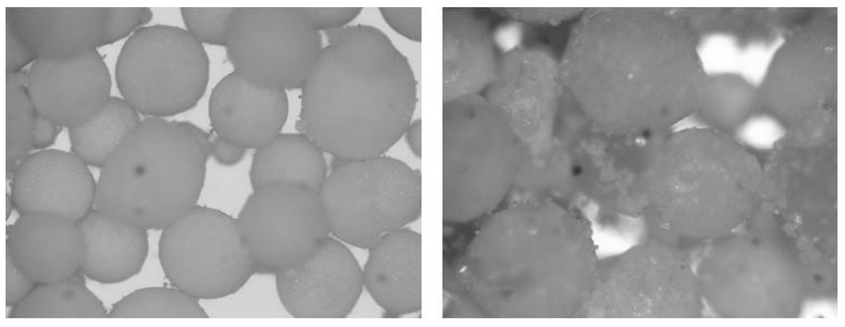 Materials 14 00921 g002