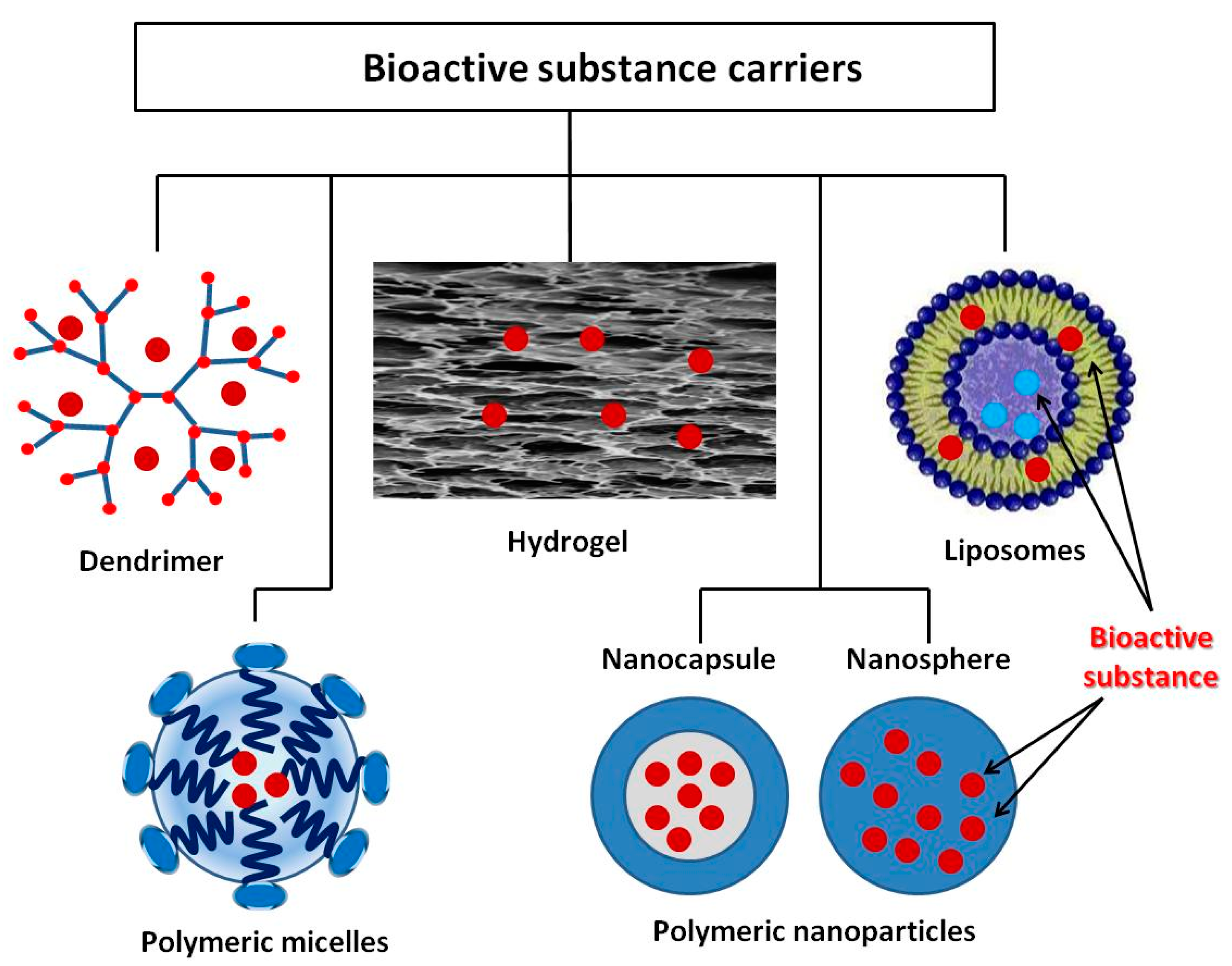 Materials 14 00930 g003