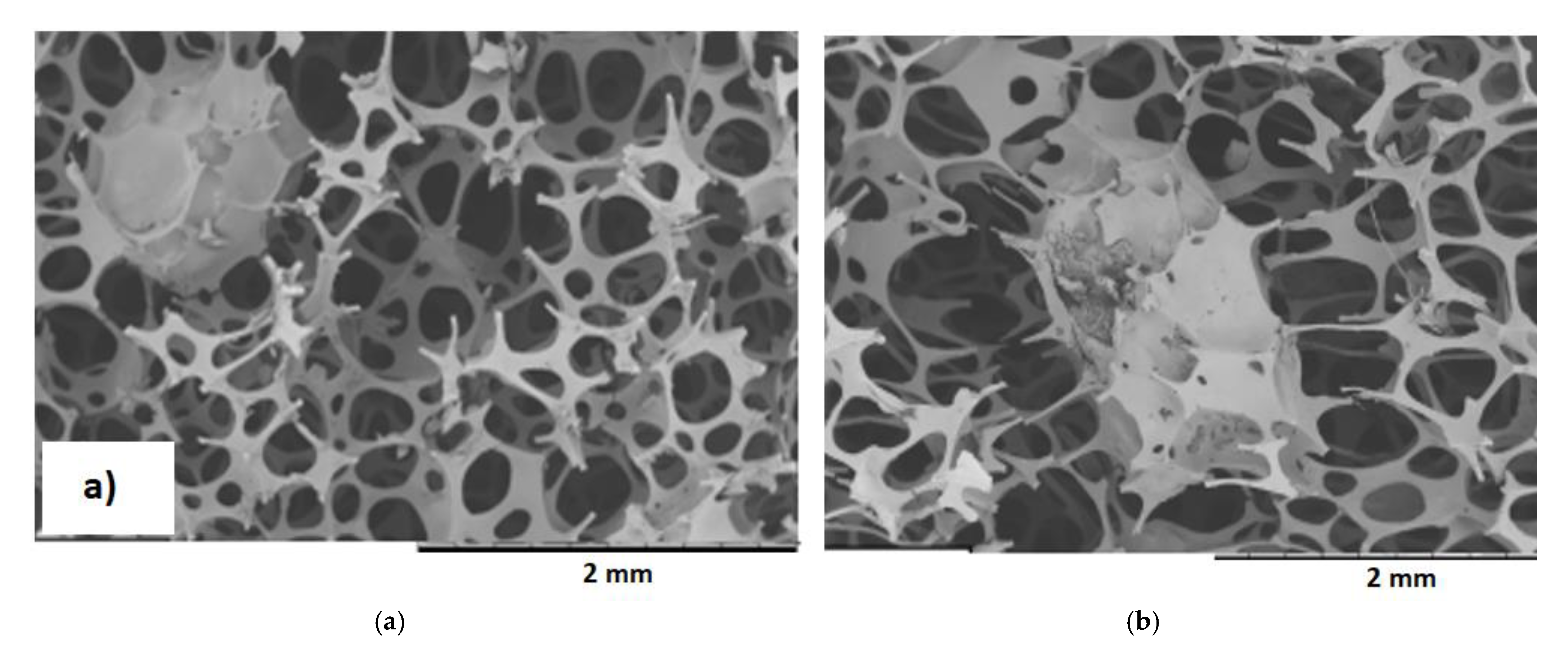 Materials 14 00934 g009