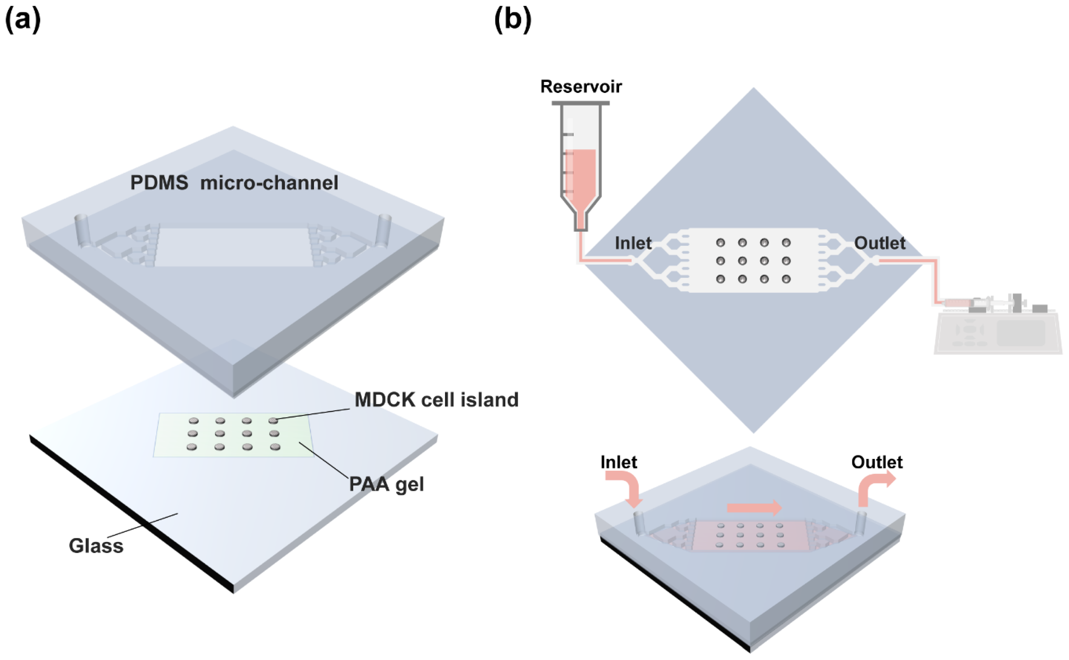 Materials 14 00935 g001