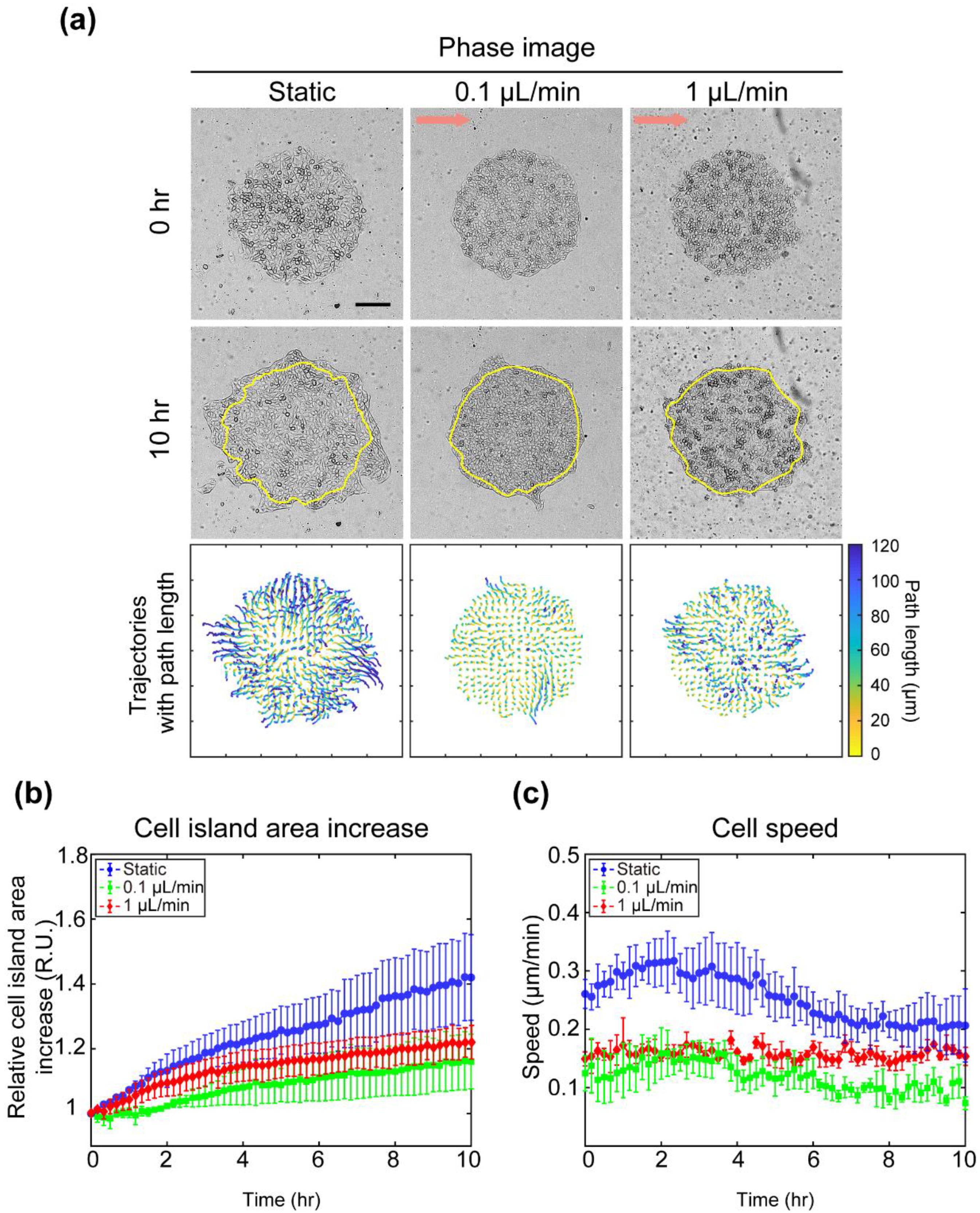 Materials 14 00935 g003