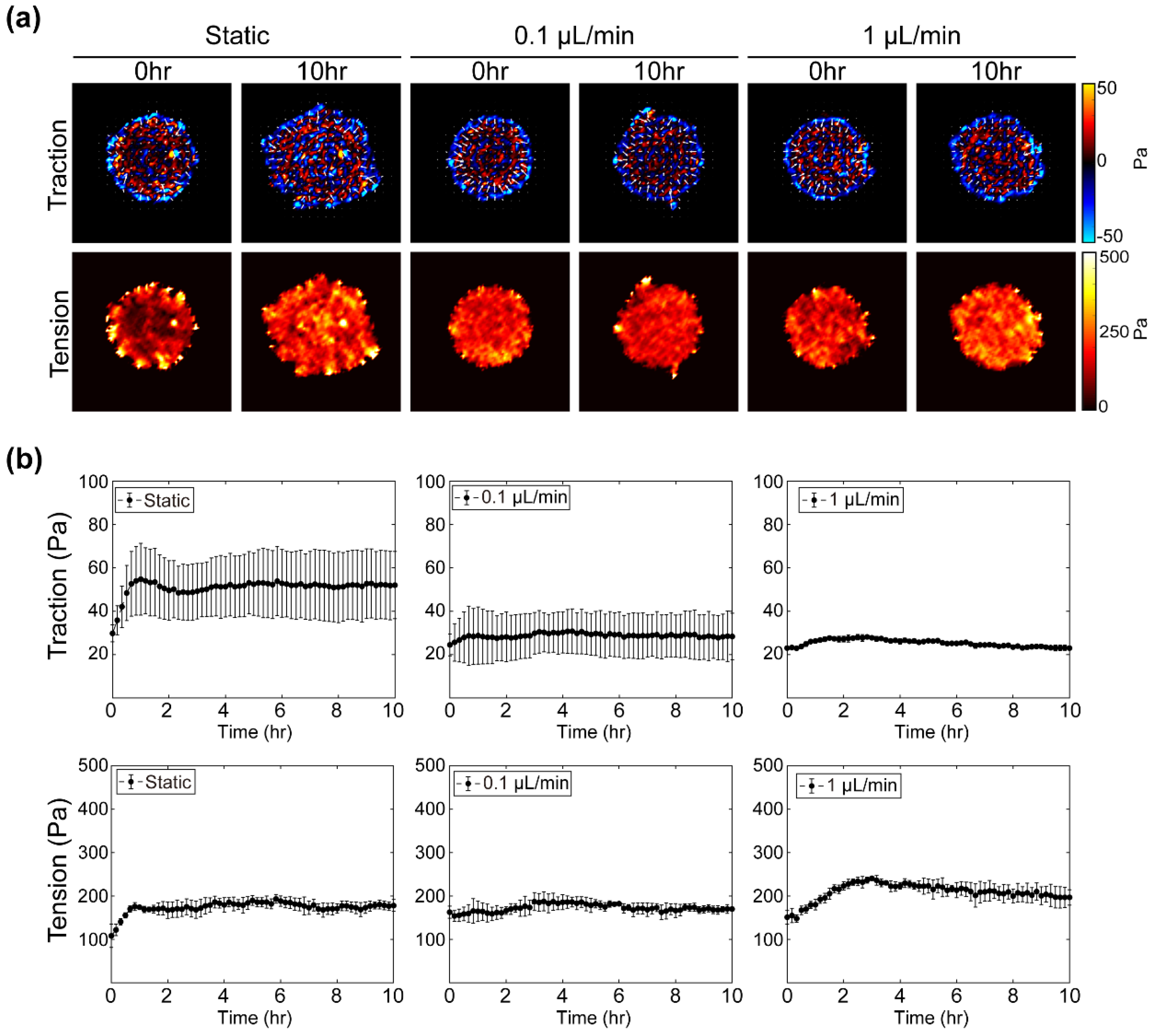 Materials 14 00935 g004