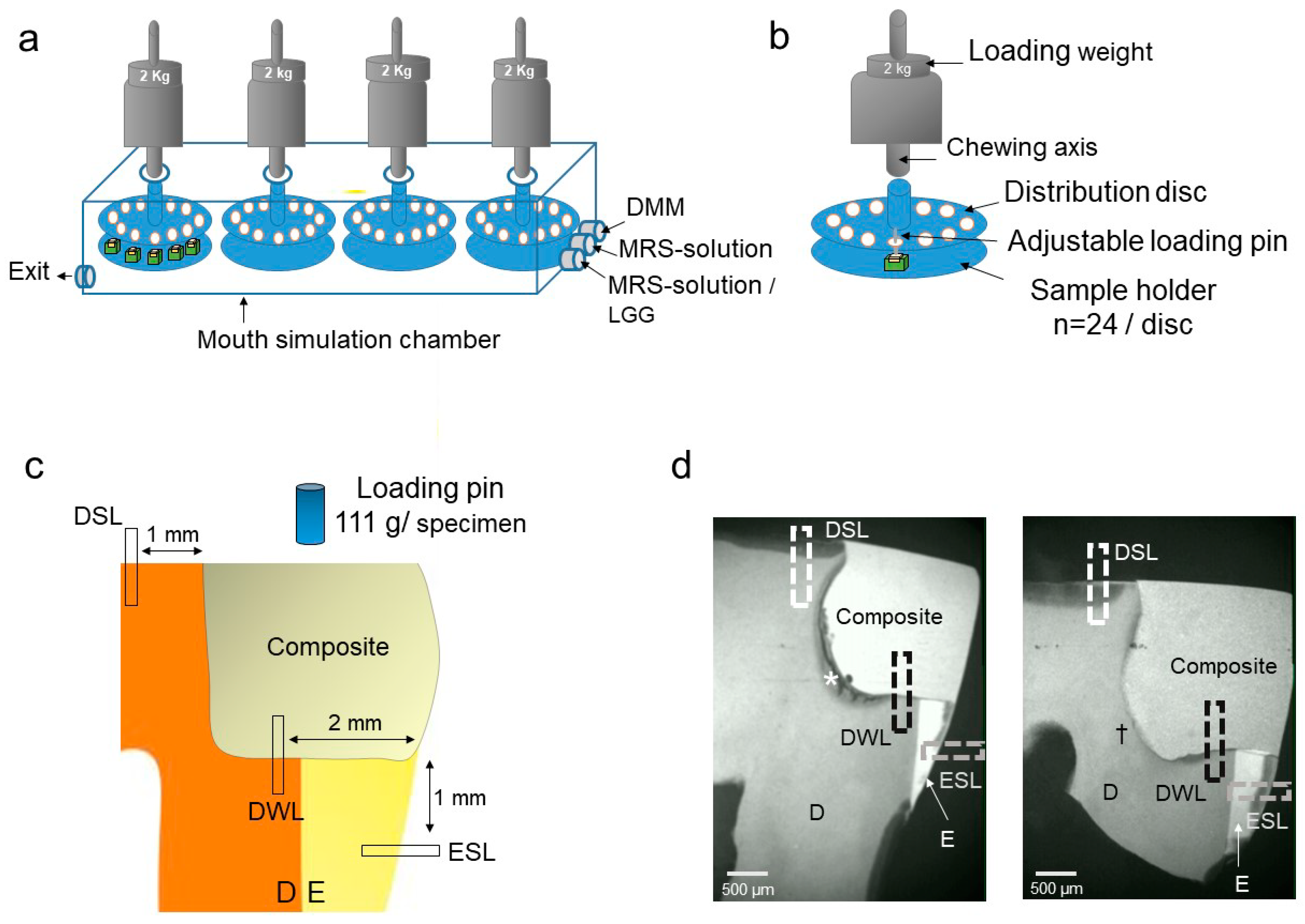 Materials 14 00939 g001