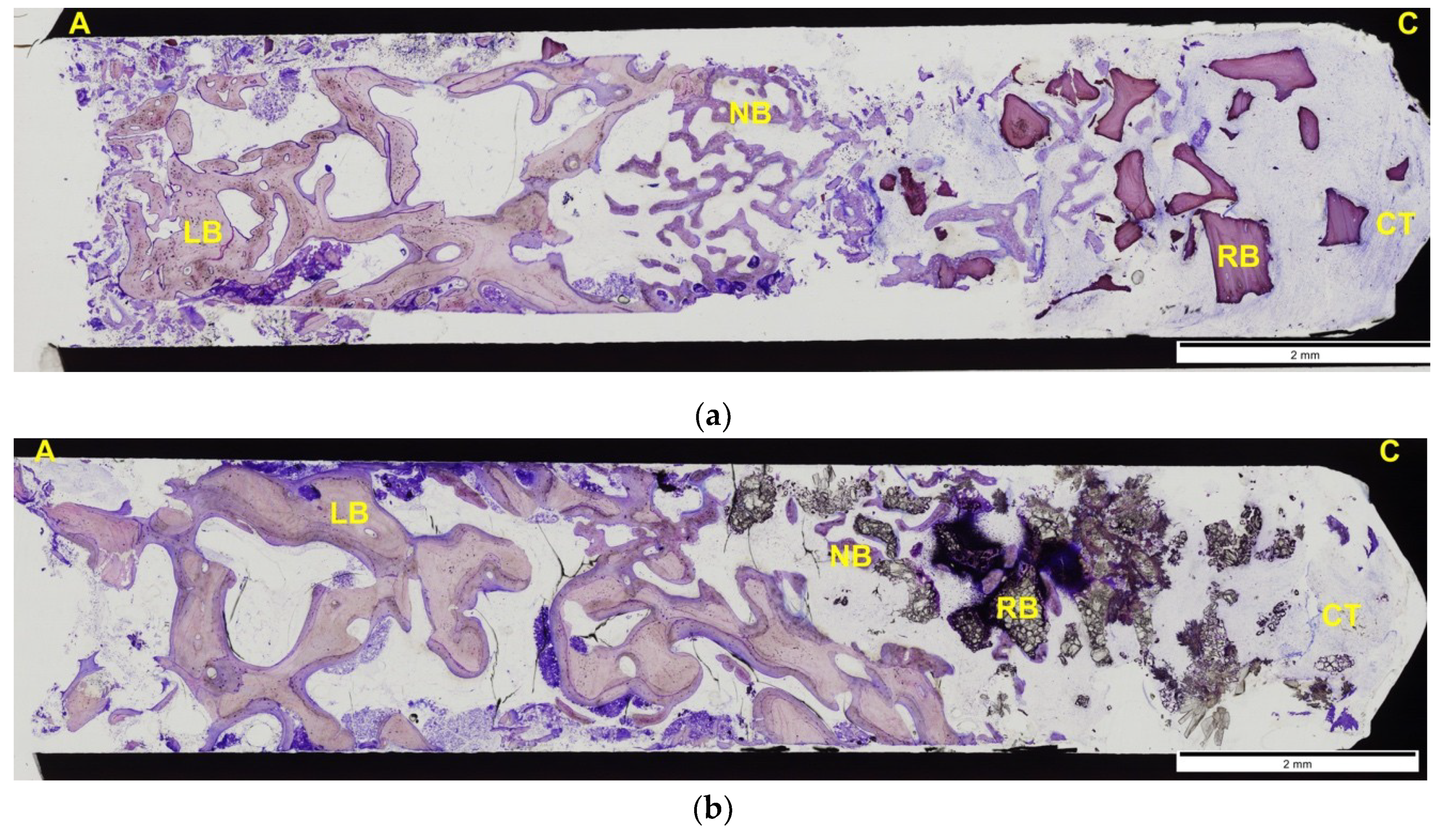 Materials 14 00940 g006 Materials 14 00940 g006