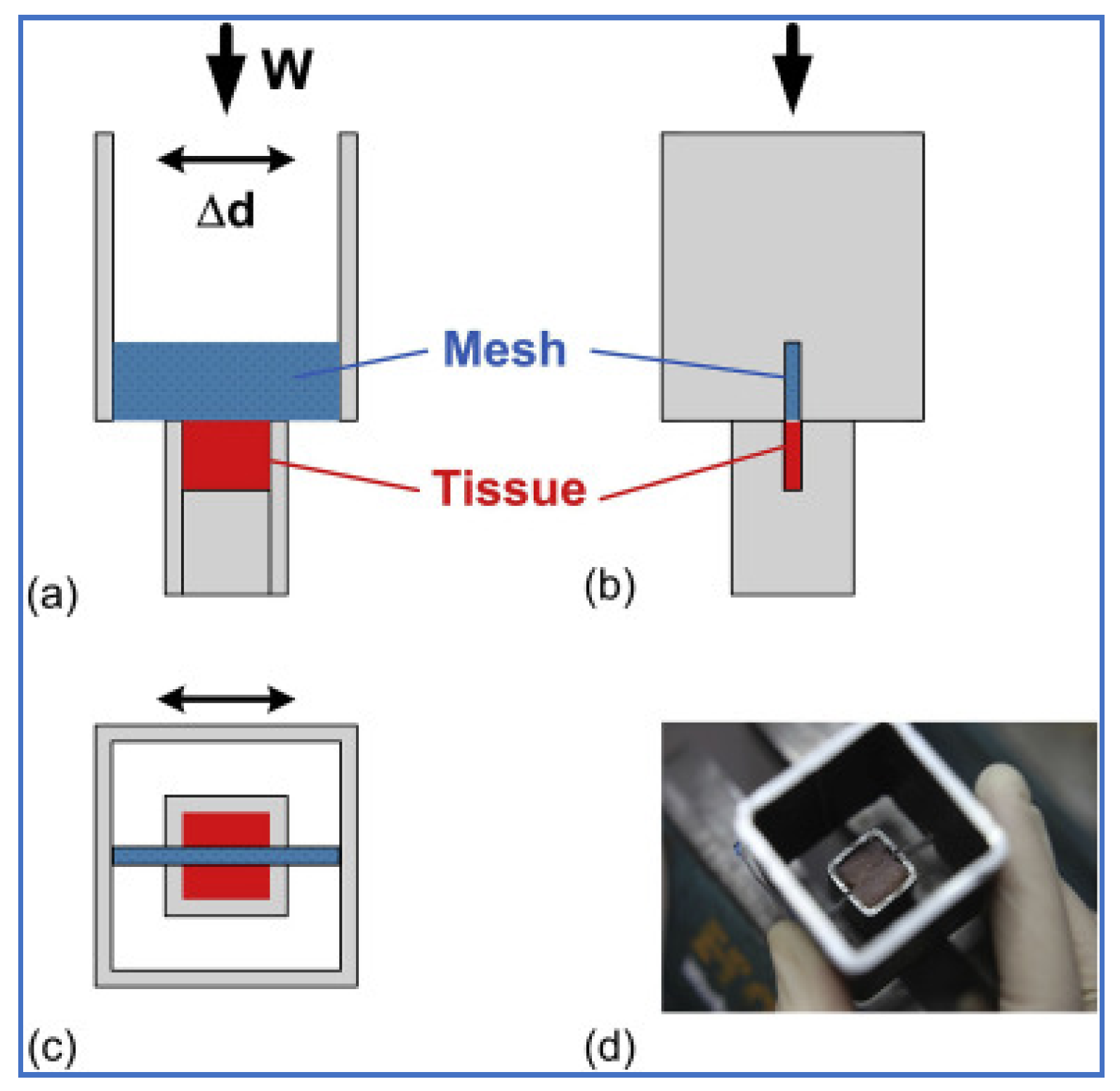 Materials 14 00941 g002 Materials 14 00941 g002