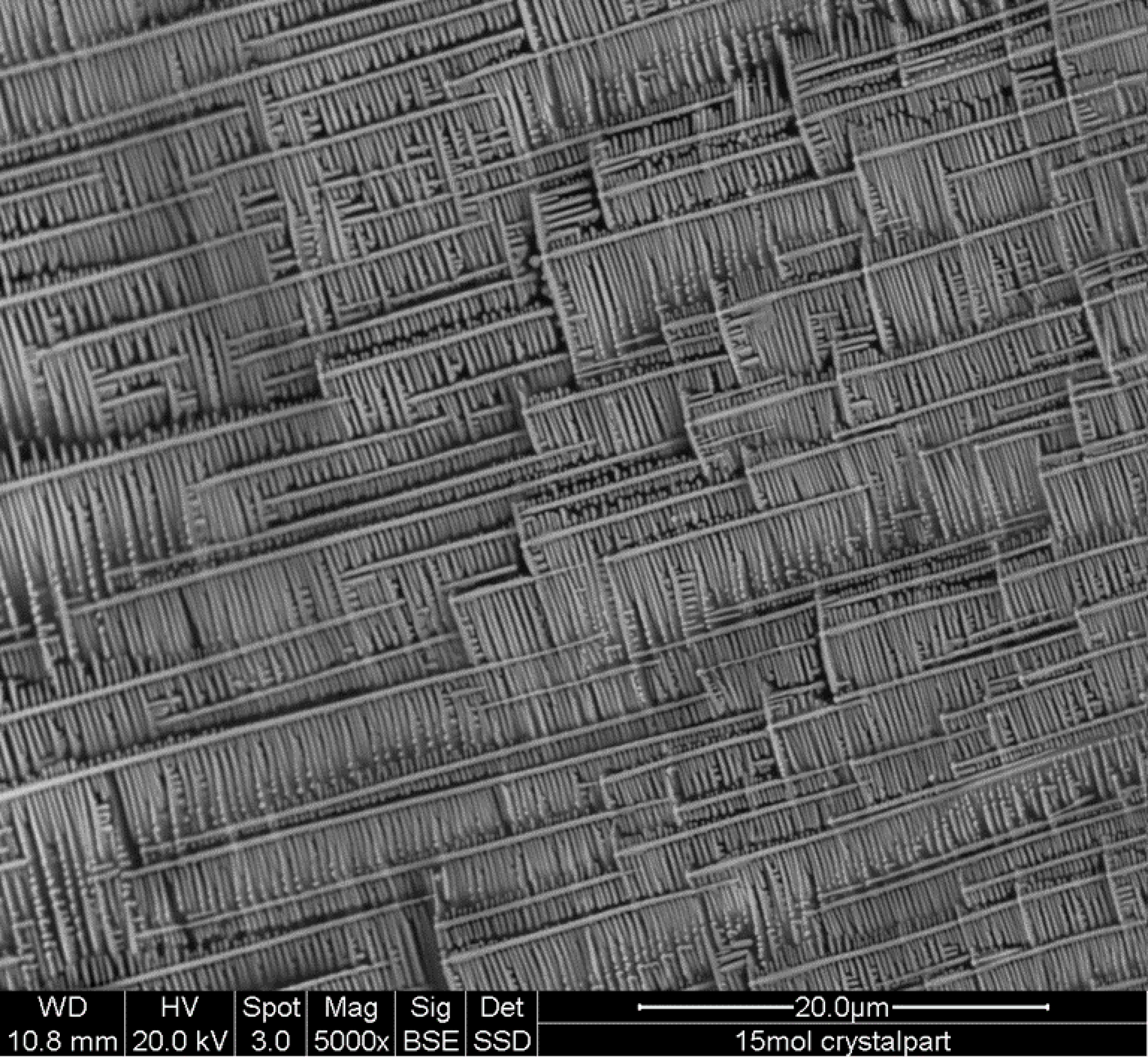 Materials 14 00952 g002