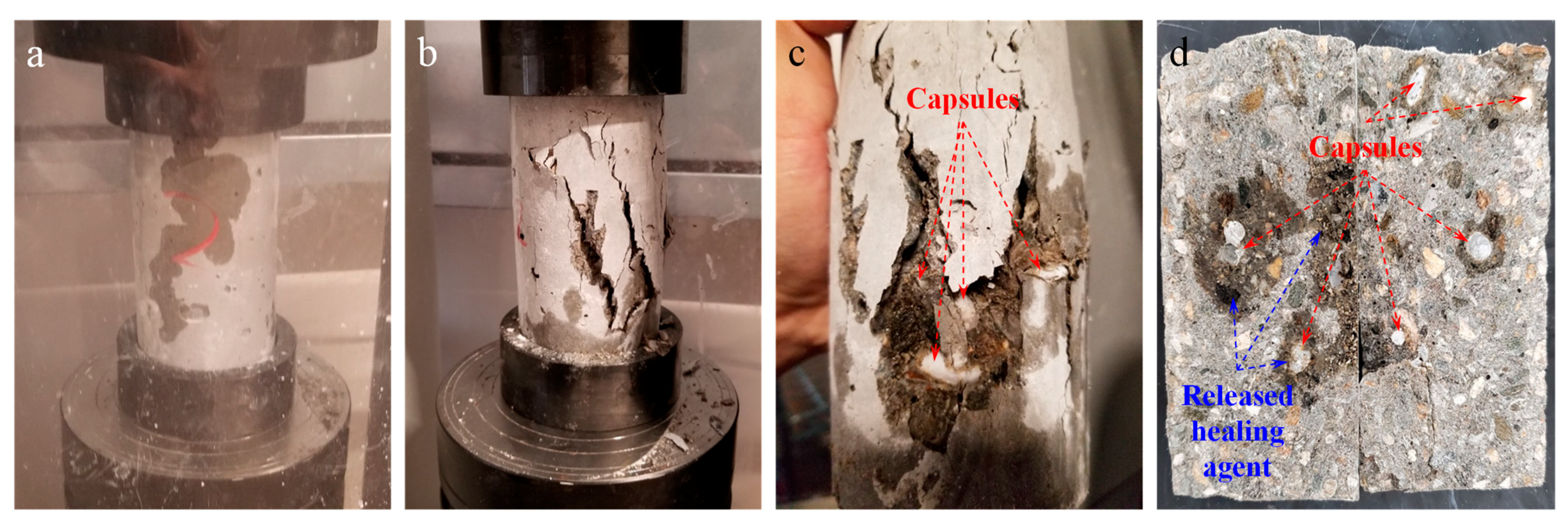 Materials 14 00958 g013