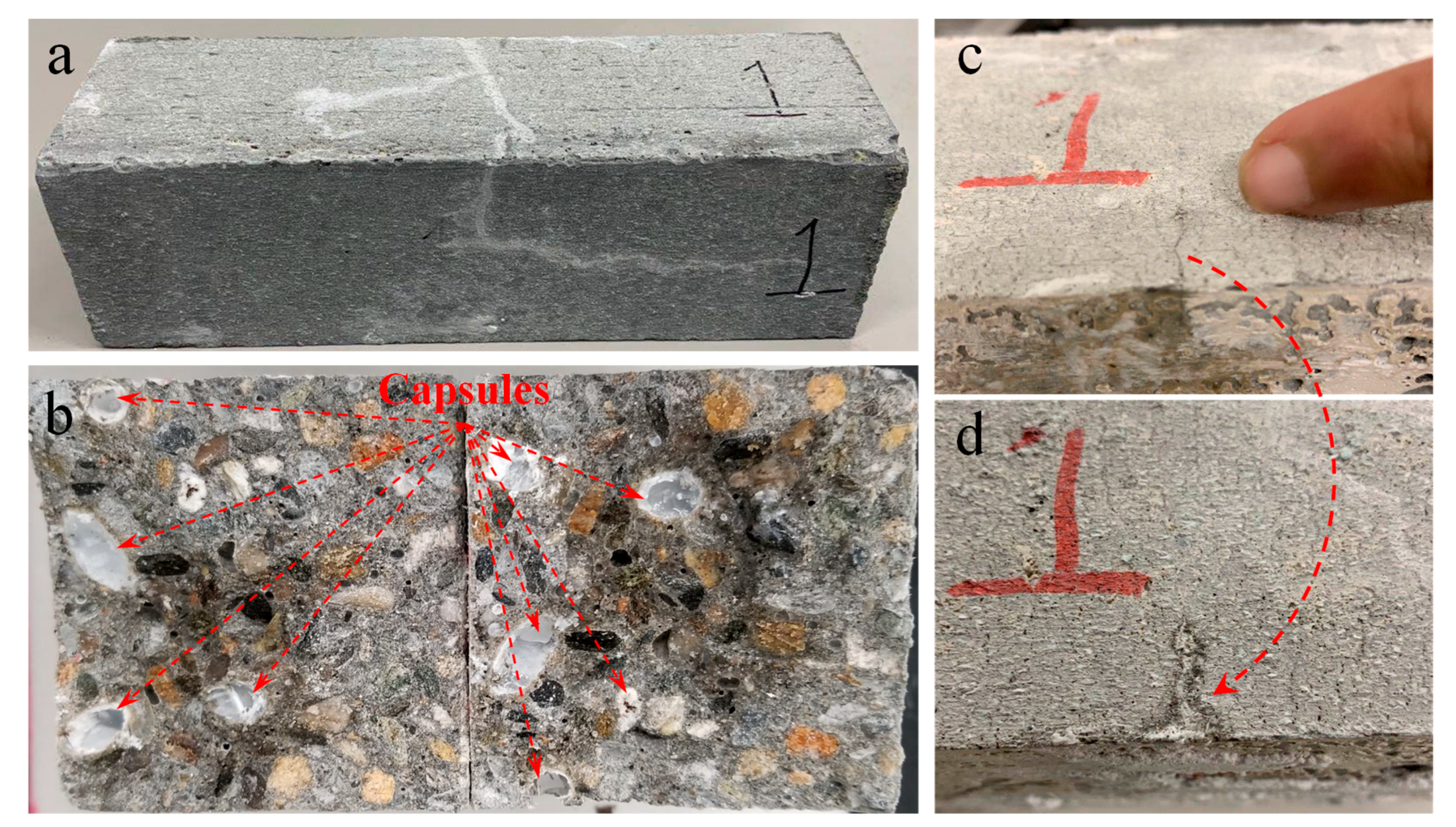 Materials 14 00958 g015