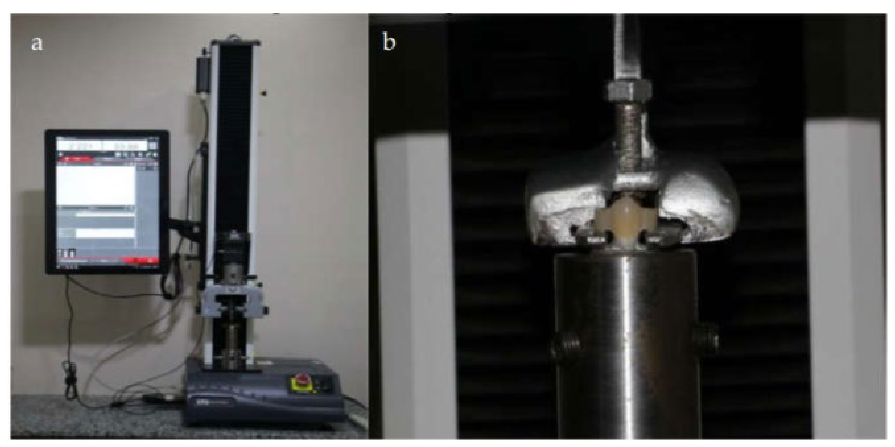 Materials 14 00960 g001