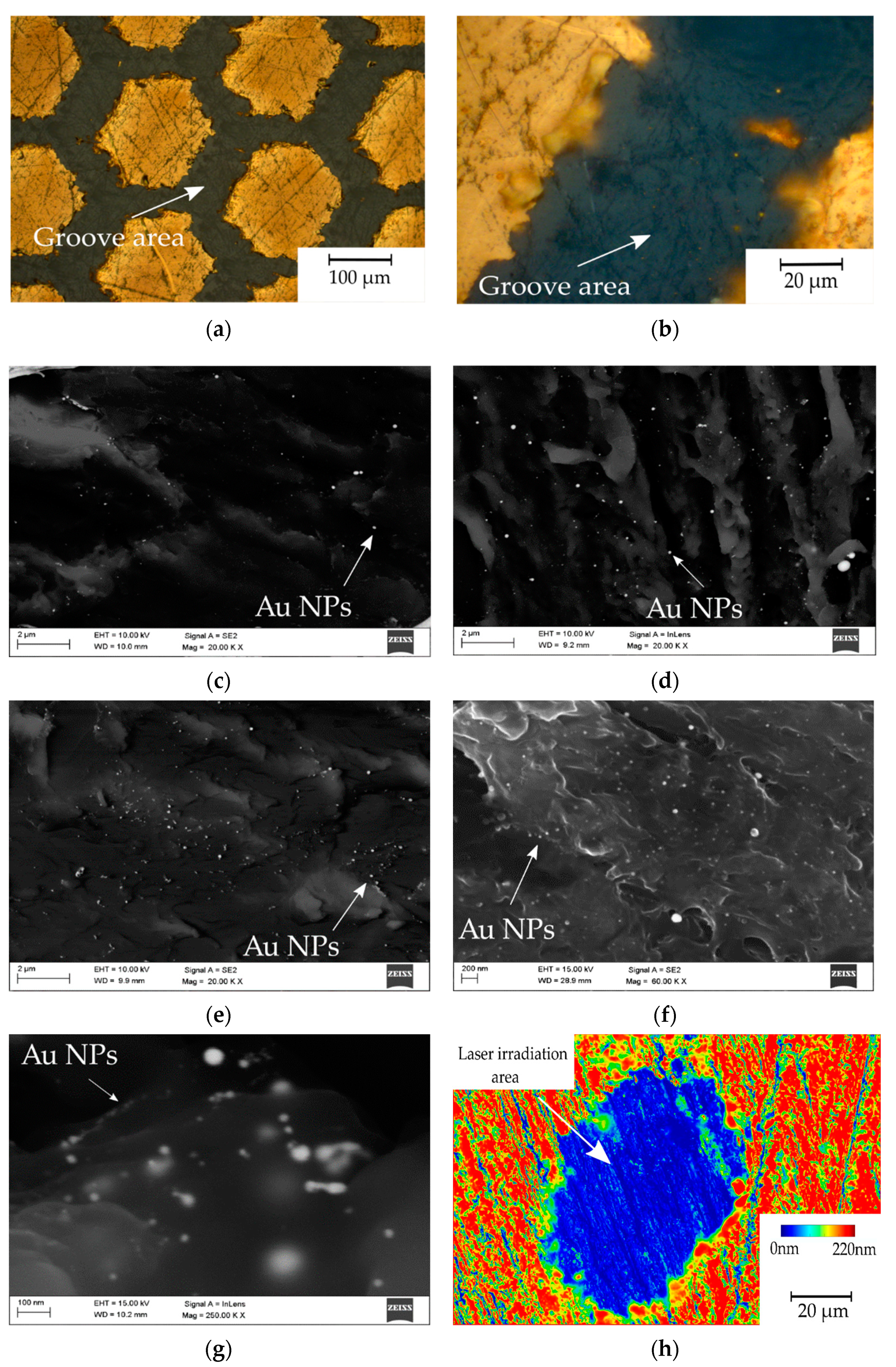 Materials 14 00971 g004
