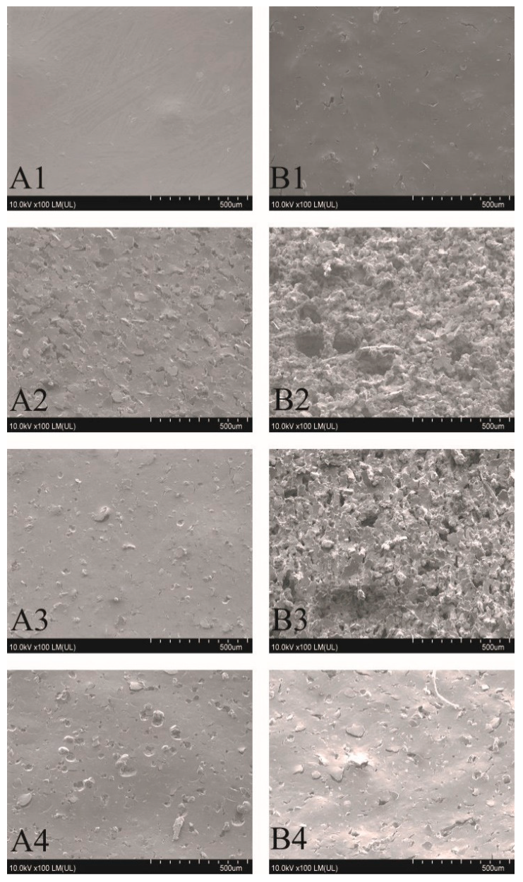 Materials 14 00978 g007