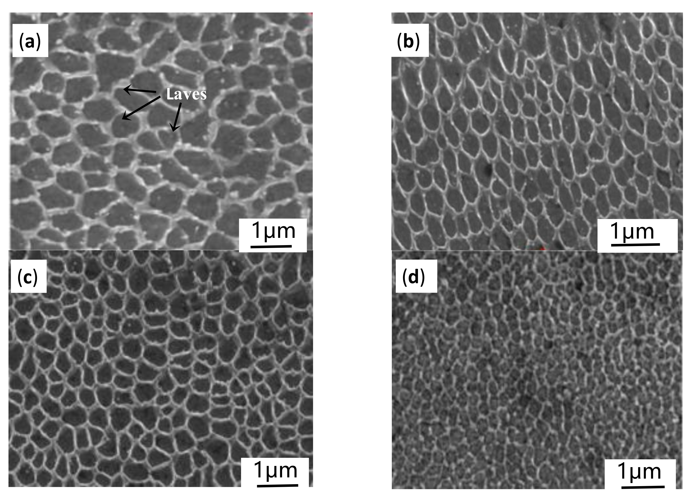 Materials 14 00991 g010