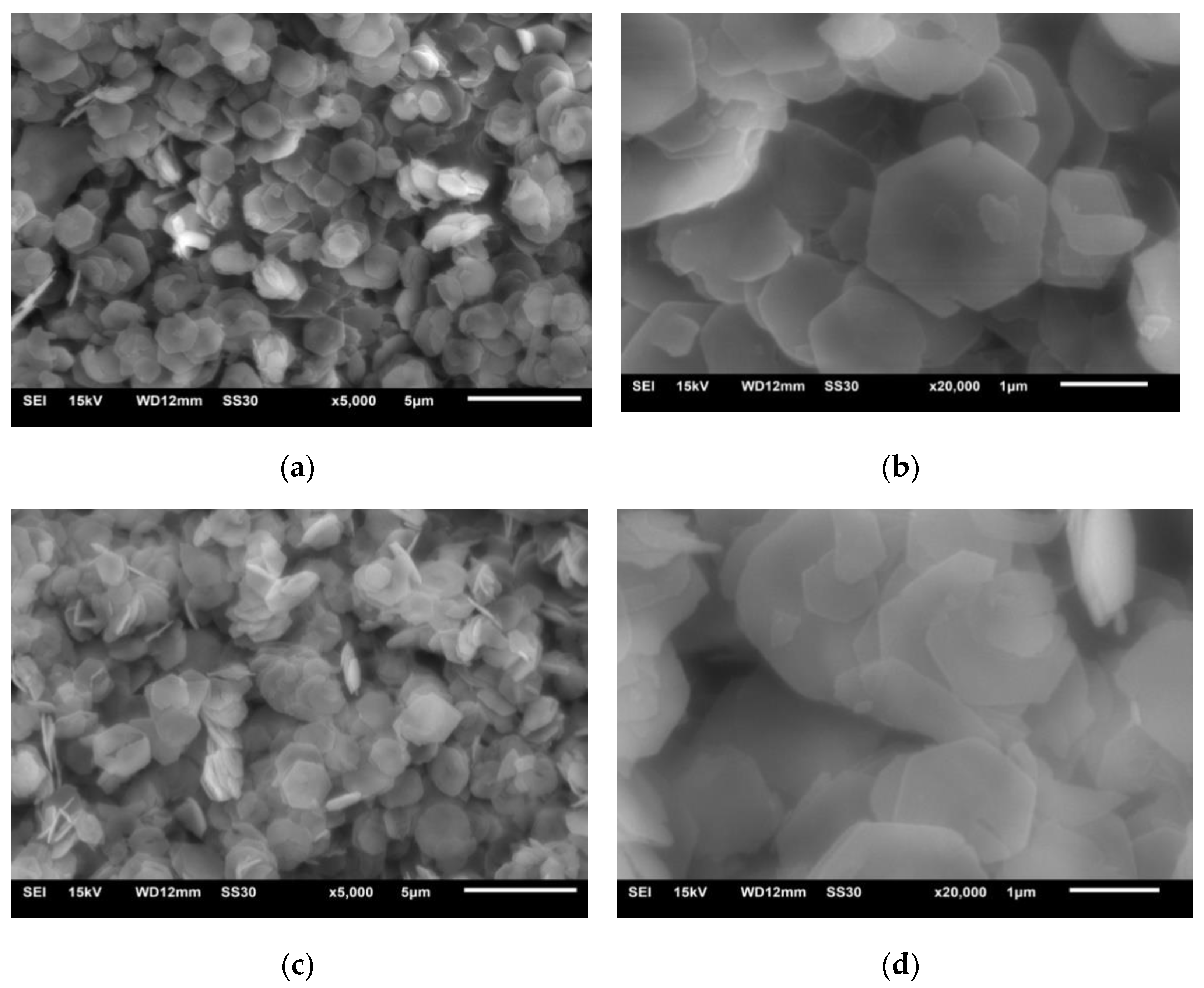 Materials 14 00994 g004