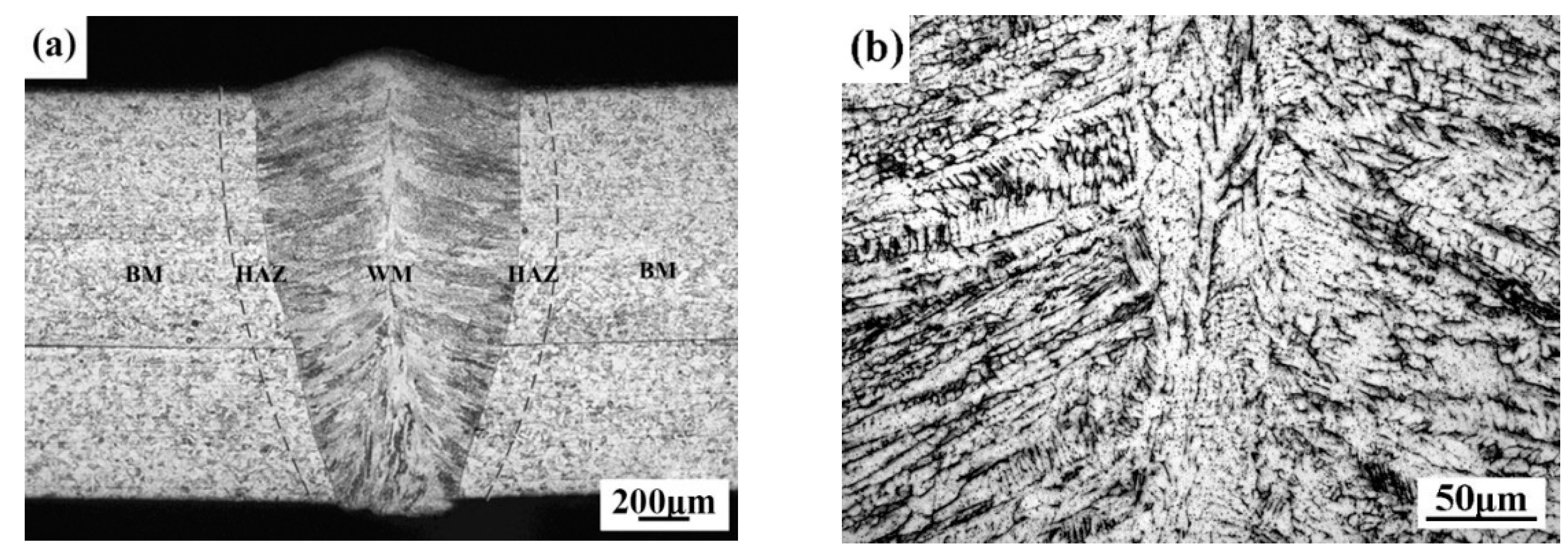 Materials 14 00996 g001a