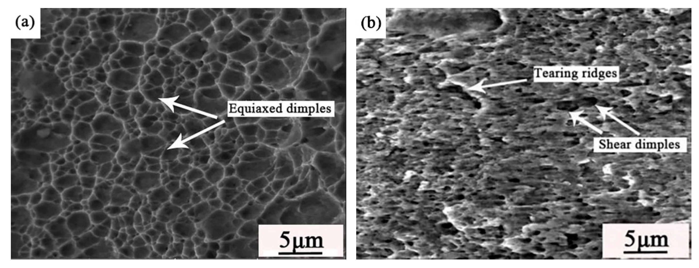 Materials 14 00996 g010