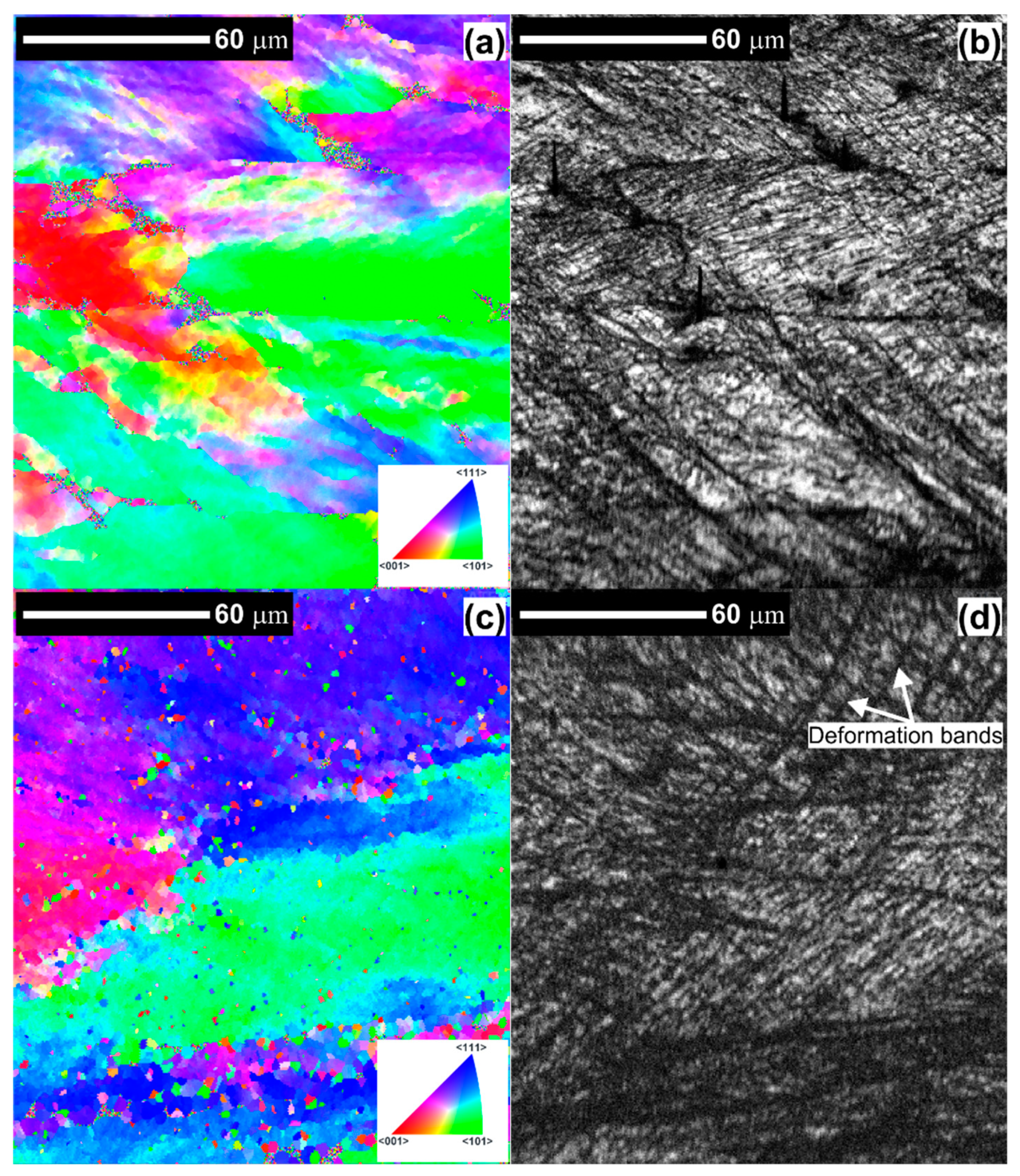 Materials 14 01010 g005